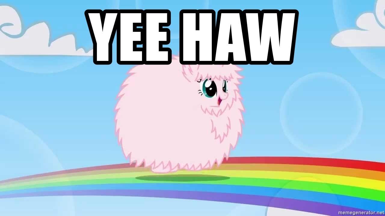 Yee haw fluffy unicorns dancing on rainbows