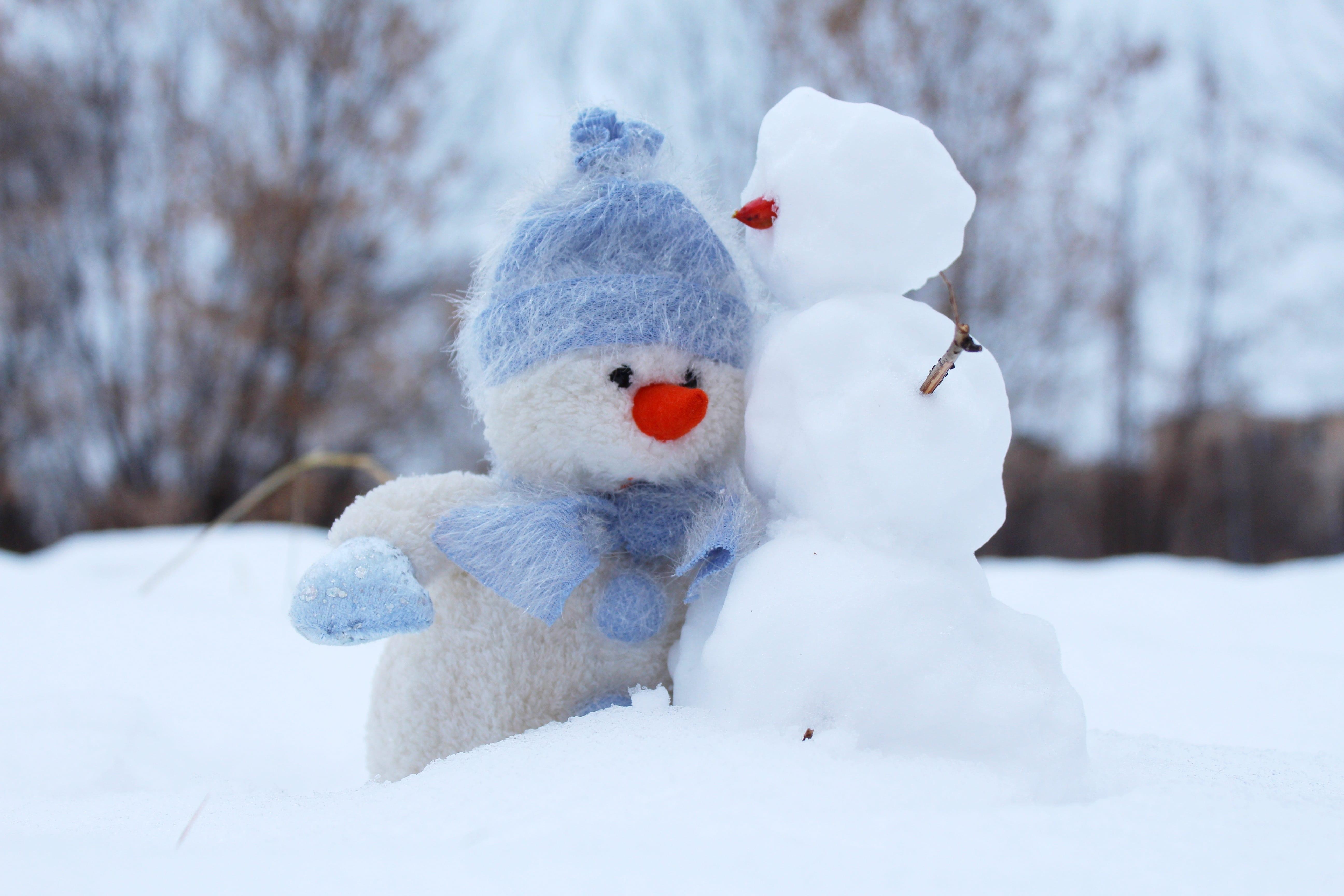 Christmas Cold Friends Frosty Wallpaper and Free