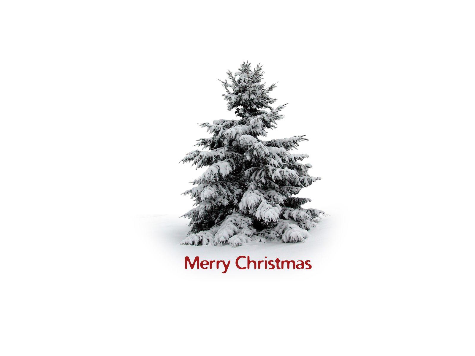 Download the White Christmas Wallpaper, White Christmas iPhone