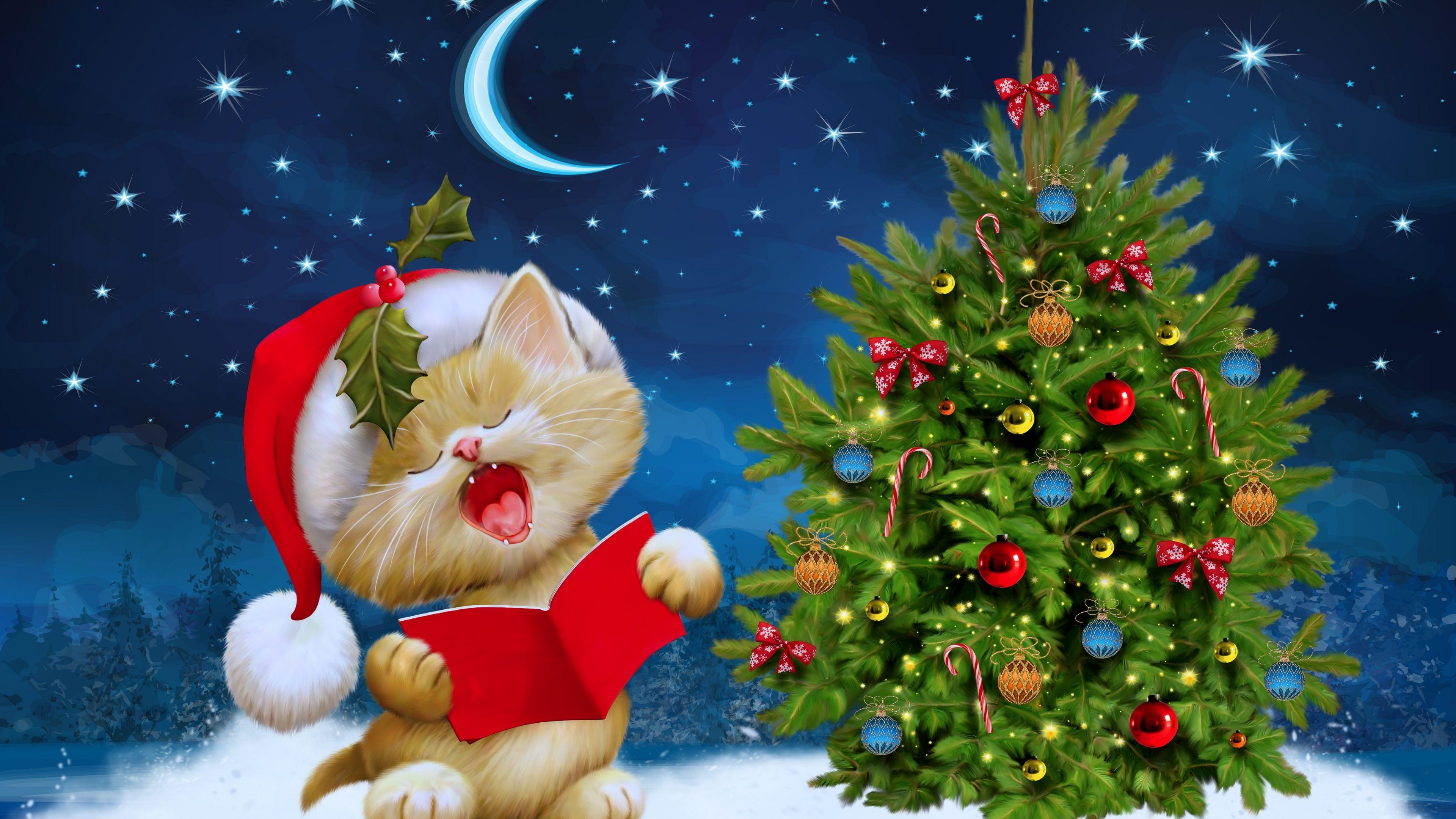 Merry Christmas Kitten Ultra HD Wallpaper. UHD Wallpaper.Net