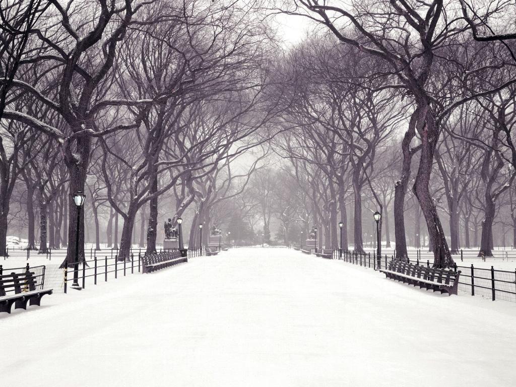 hecallsmeStatuary Walk, Central Park, New York City, New