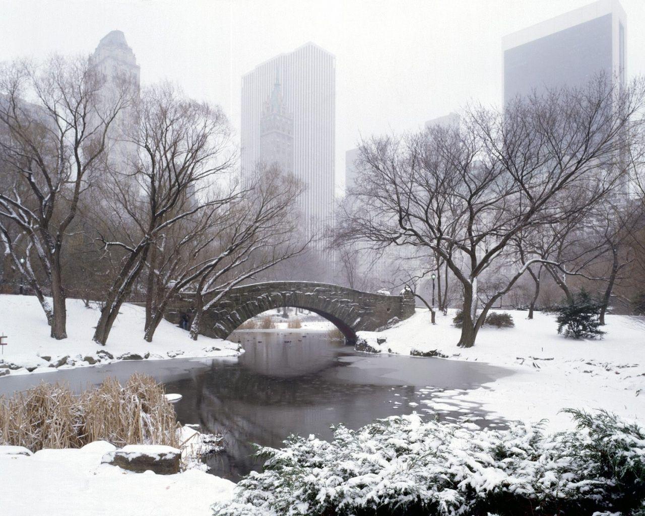 Central Park in winter wallpaper. Central Park in winter