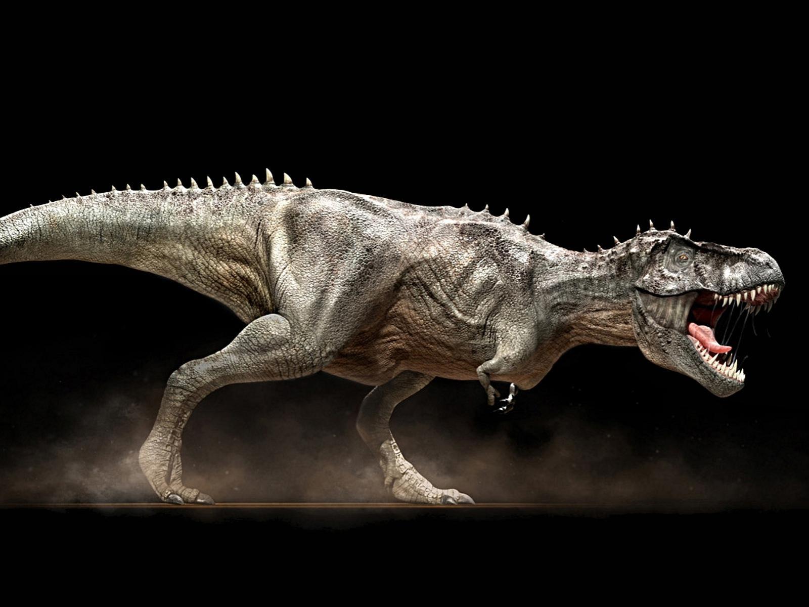 Dinosaur King Kong Vs T Rex (id: 183884)