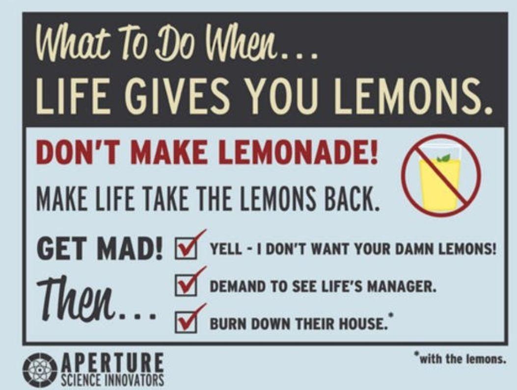 Just a reminder to burn down houses with lemons (Portal 2)