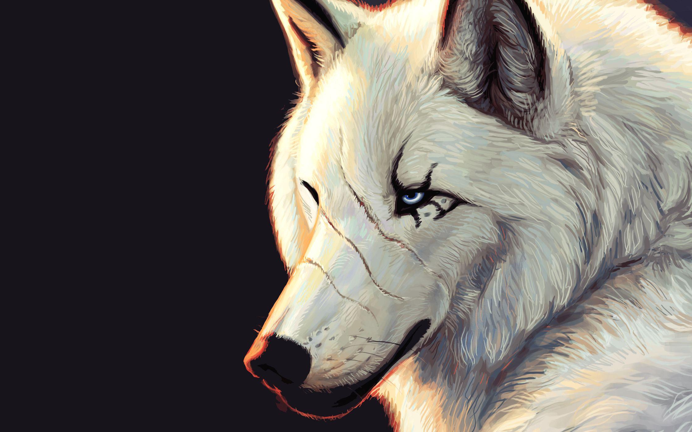 White wolf with scars wallpaper and image, picture
