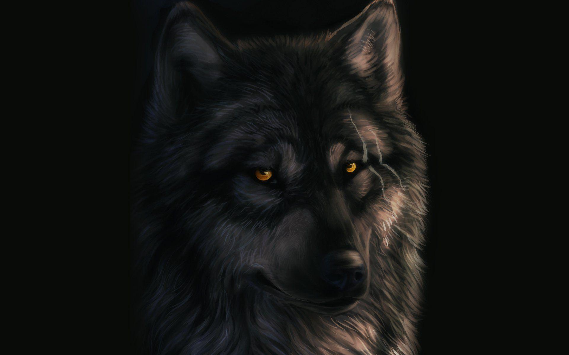 art dark_sheyn wolf scars black background HD wallpaper