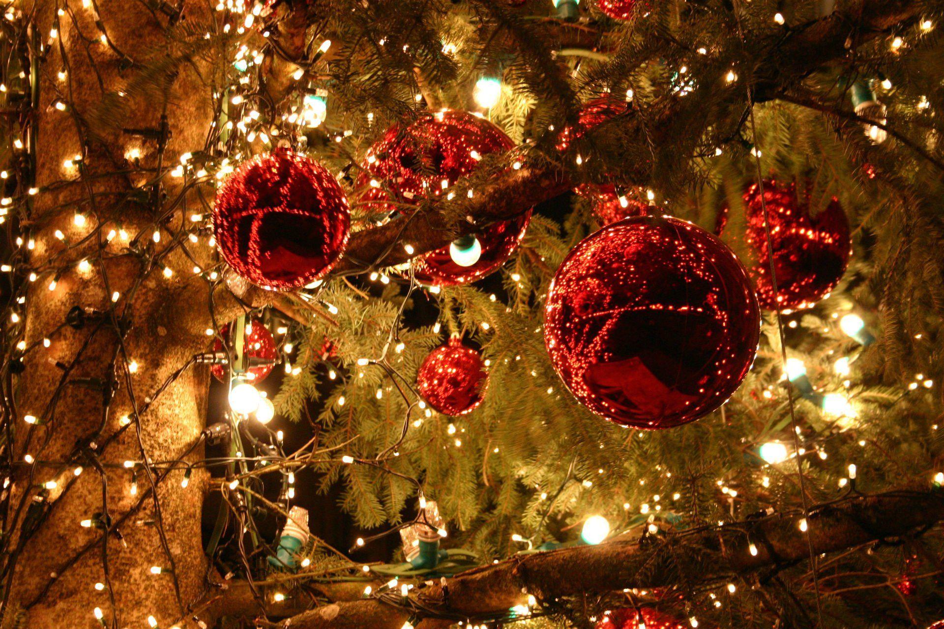 Christmas Lights HD Wallpaper