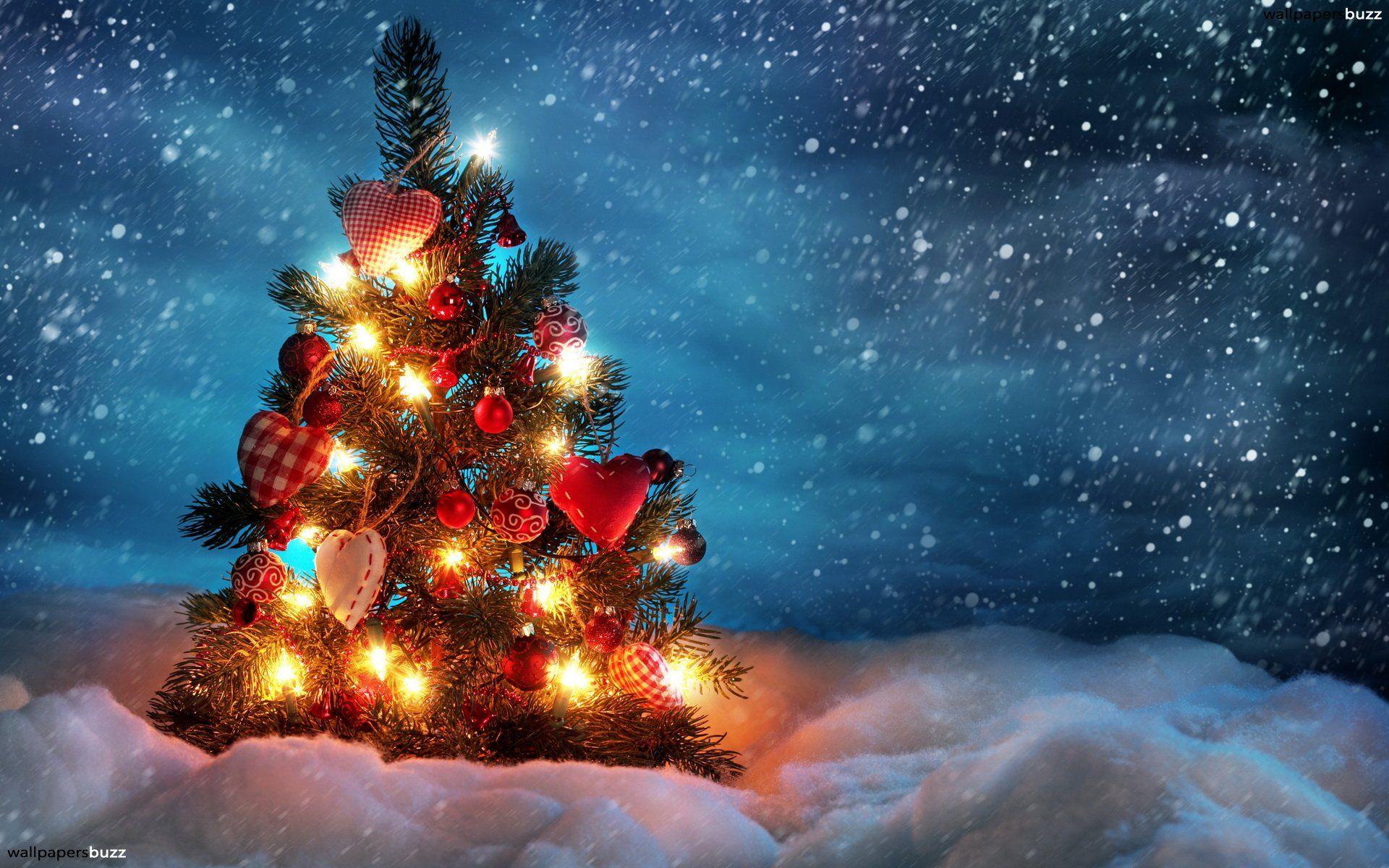 Christmas tree in a field HD Wallpaper