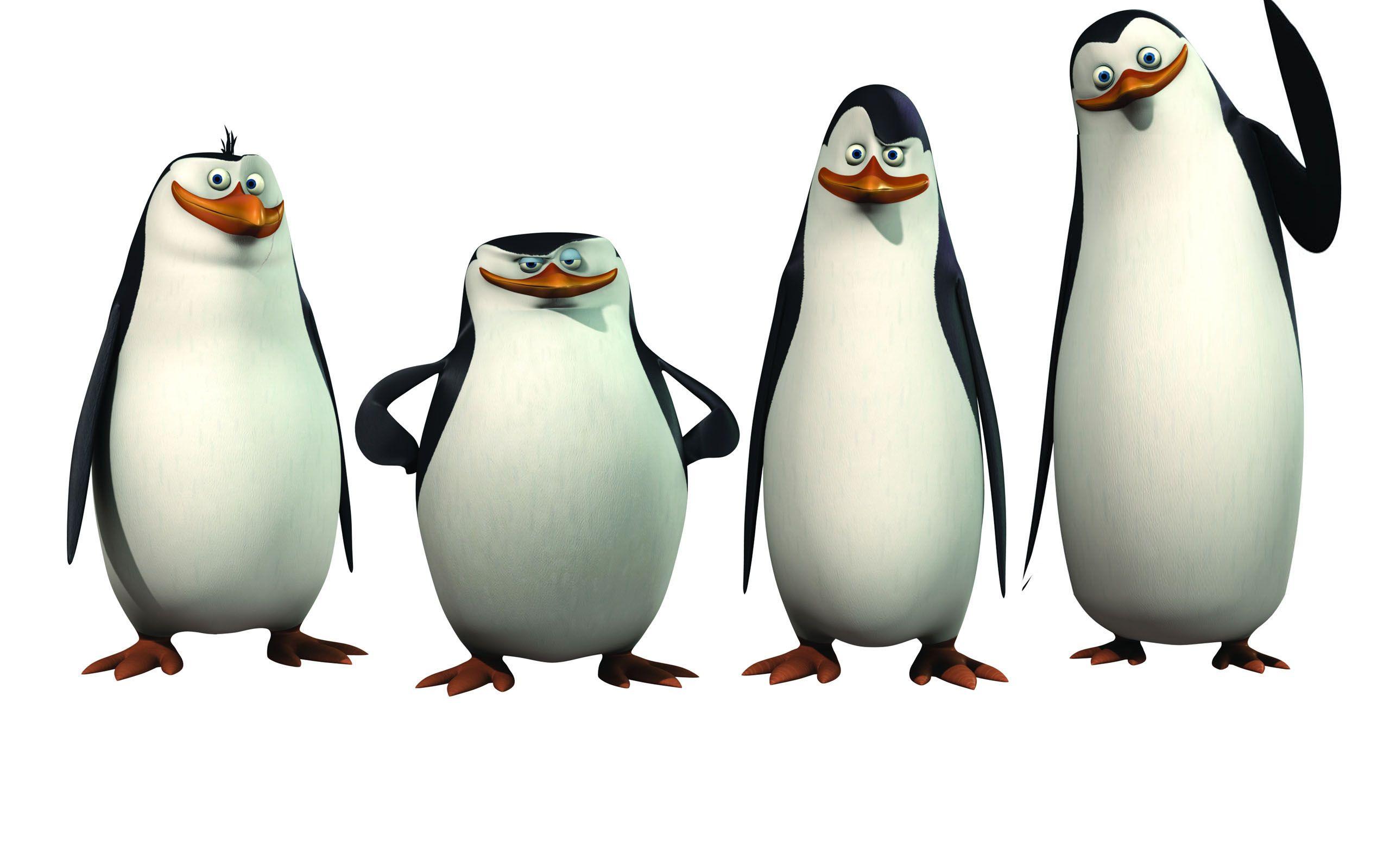 Penguins of Madagascar Privates Growth Spurt Cartoon Wallpaper