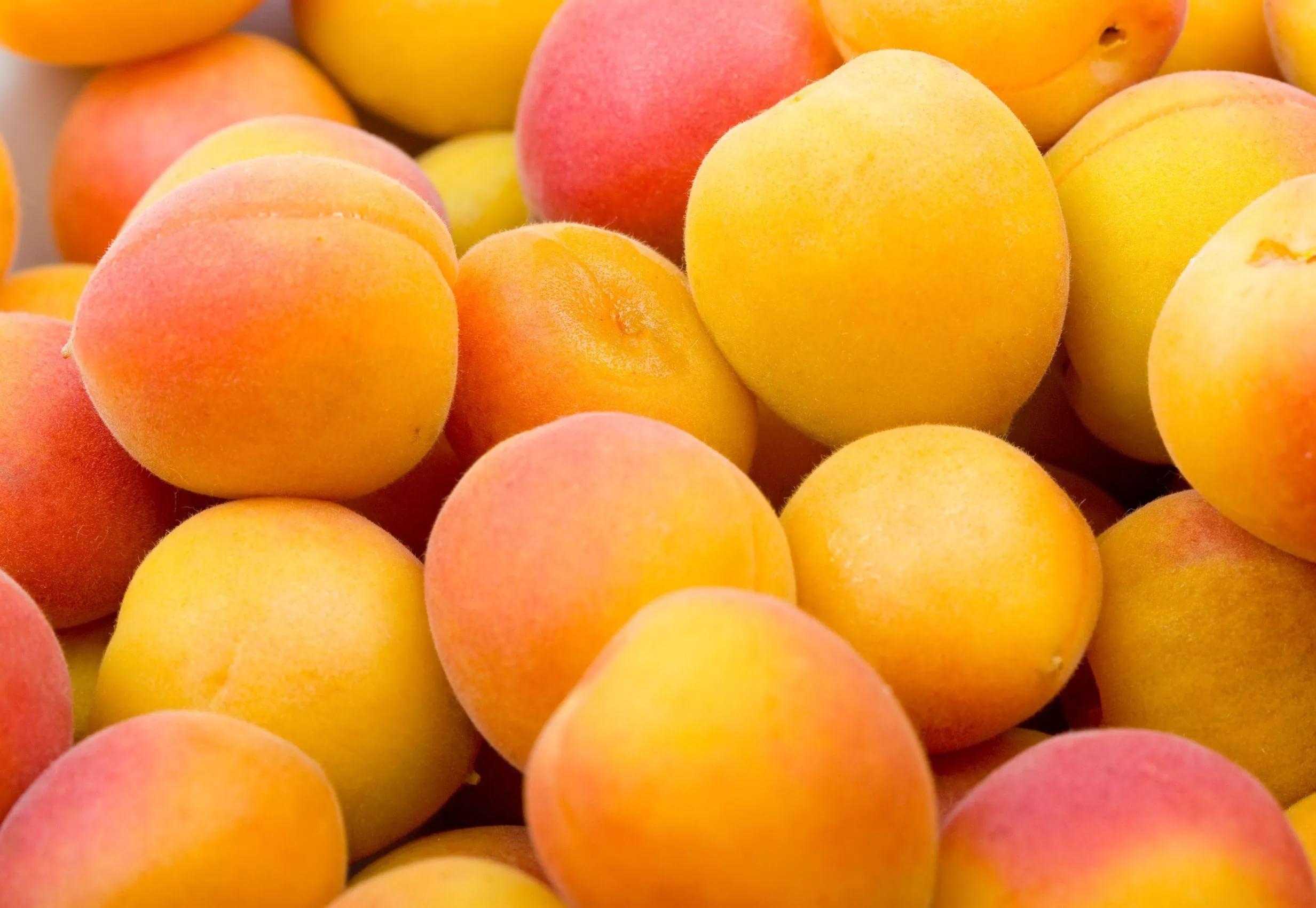 Apricot HD Wallpaper free