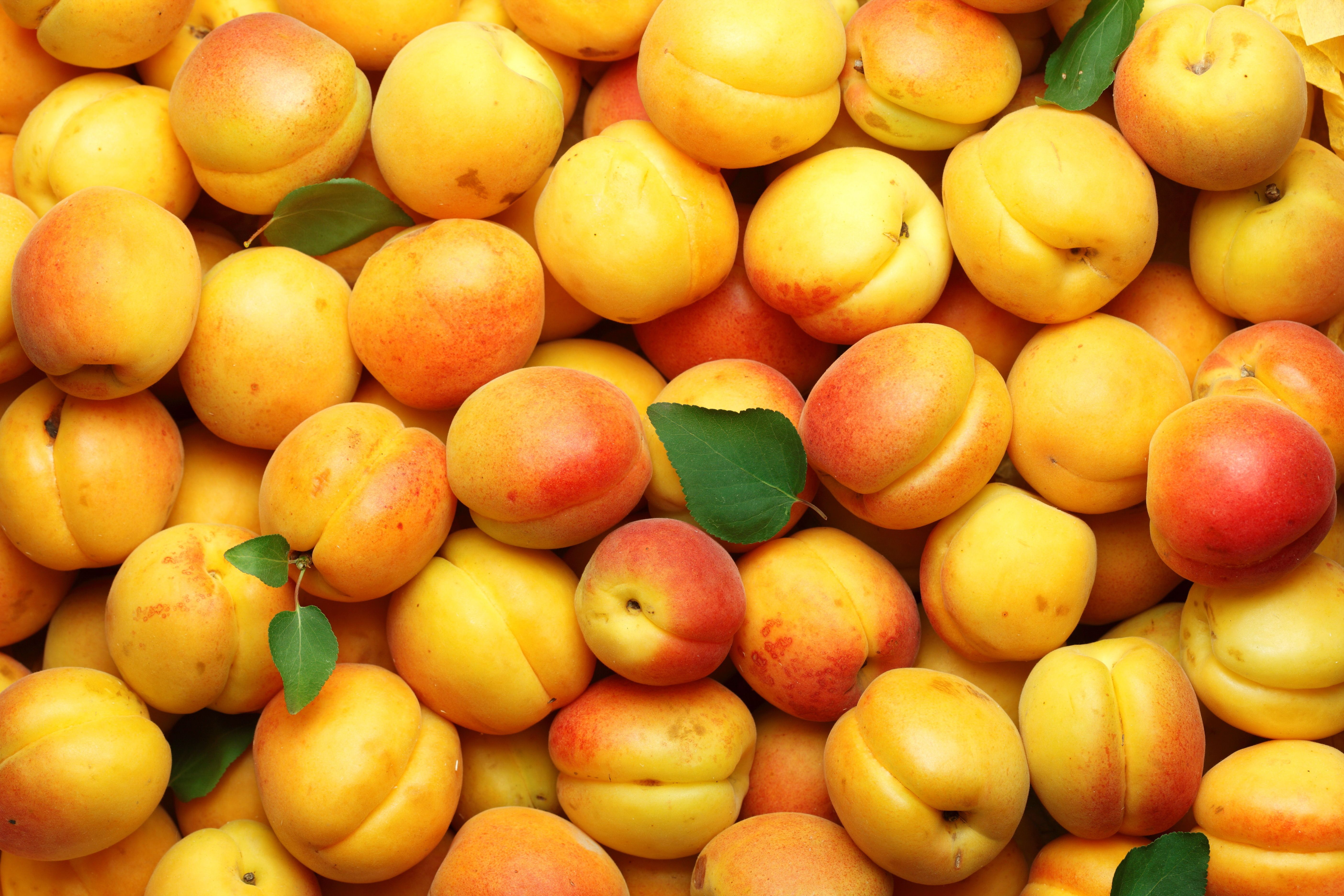 Apricot 5k Retina Ultra HD Wallpaper. Background Imagex3744