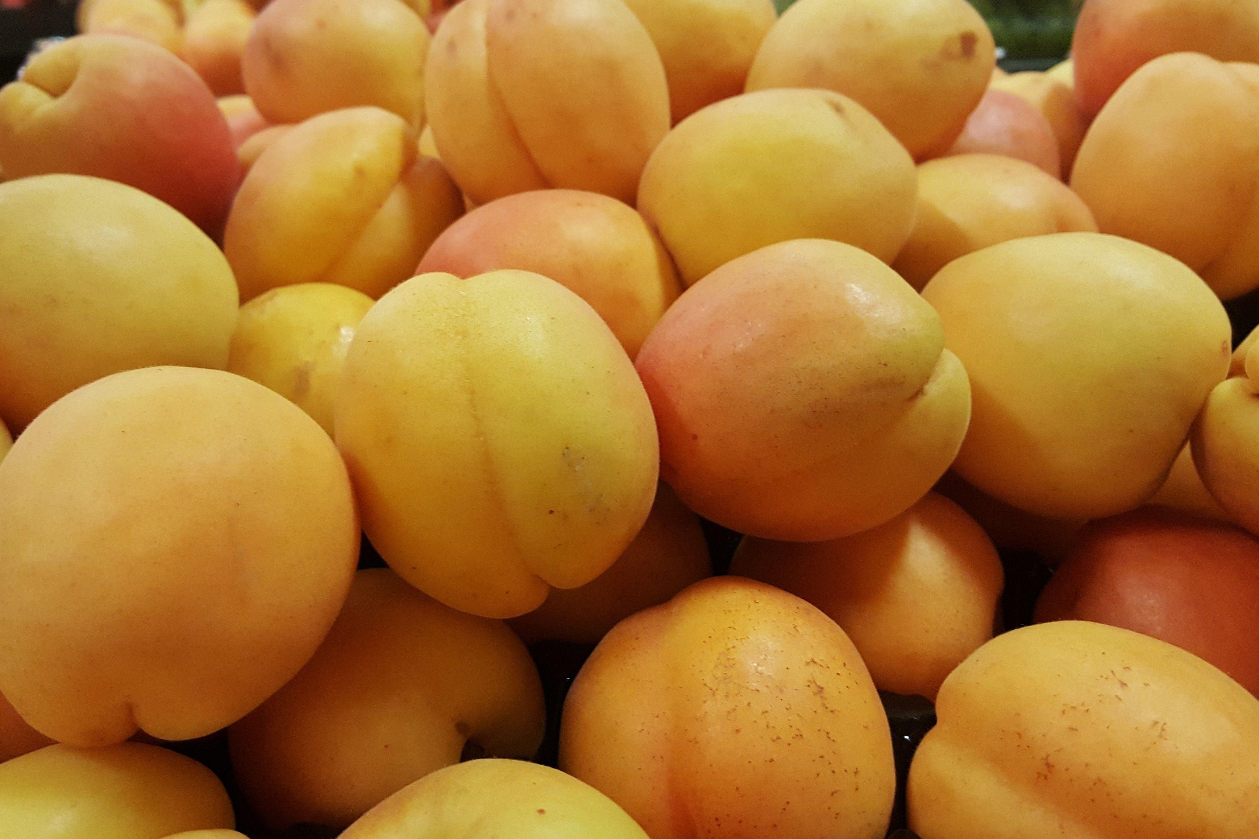 Download 4080x2720 Apricot, Fruit Wallpaper