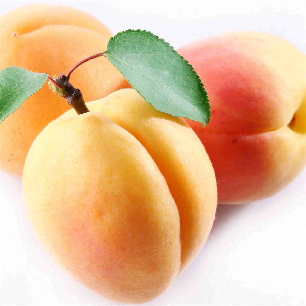 Apricot Fruit Branch #Retina #iPad #Air #wallpaper. Retina iPad