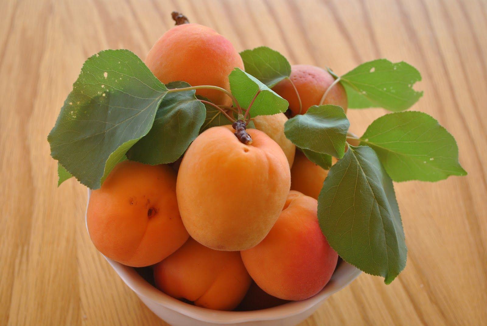 easy homemade refrigerator apricot jam