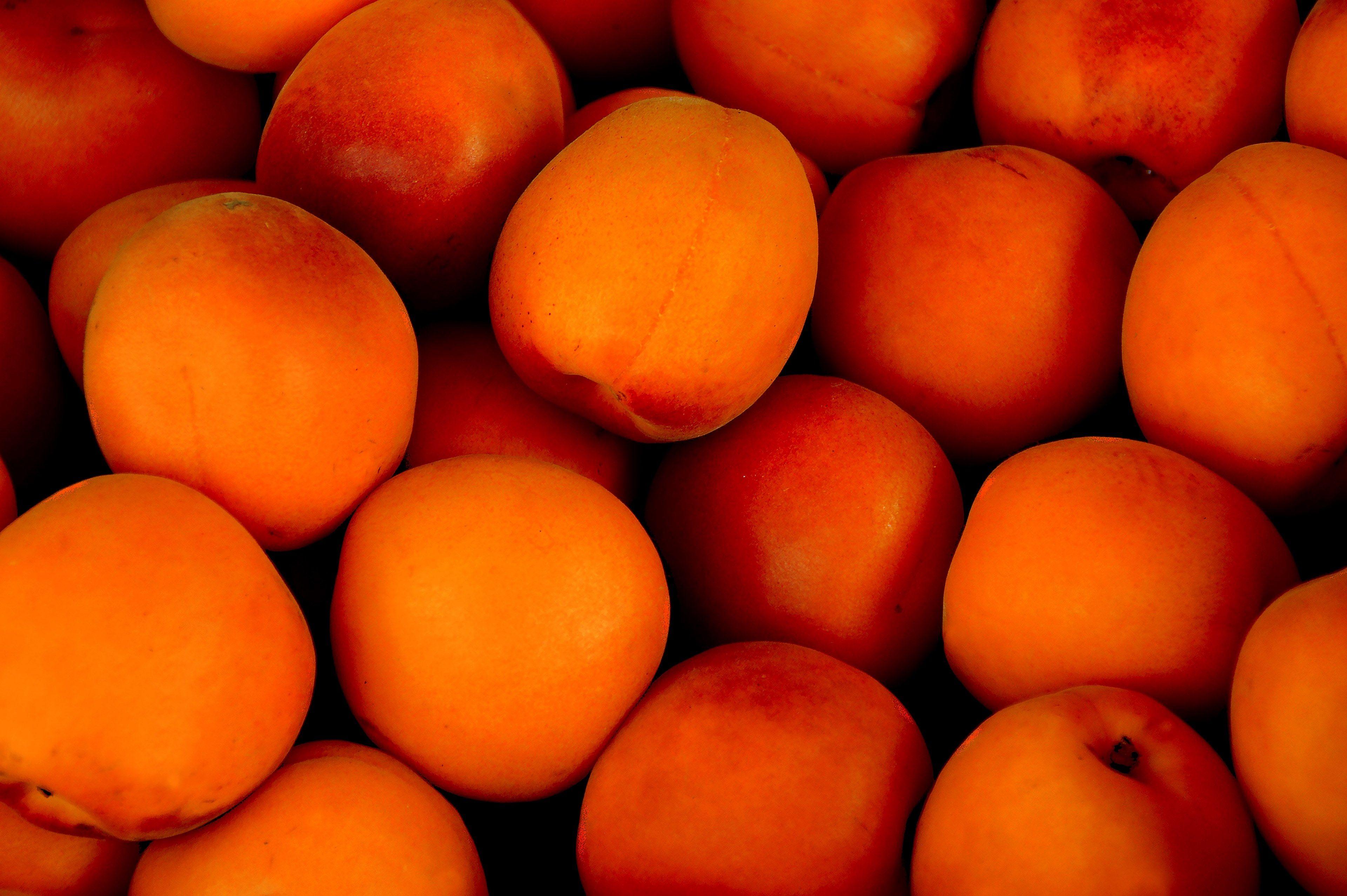 apricot #tropical fruit #fruit #fruits #delicious 4k wallpaper