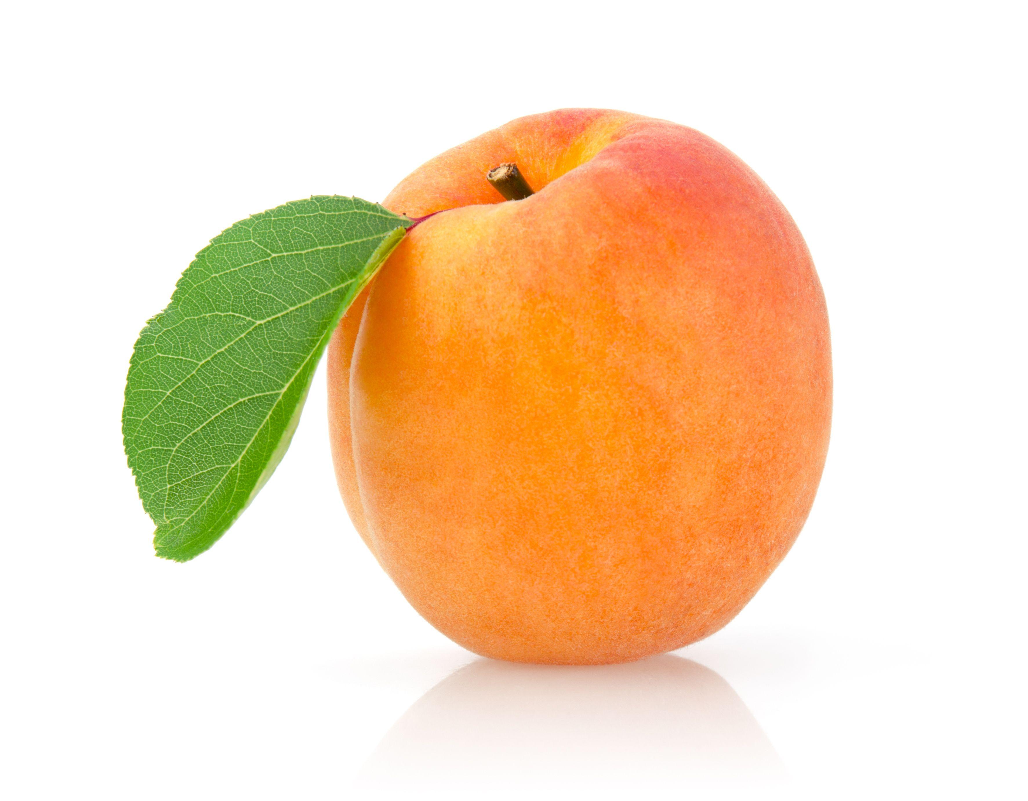 3546x2762px Apricot 1719.17 KB