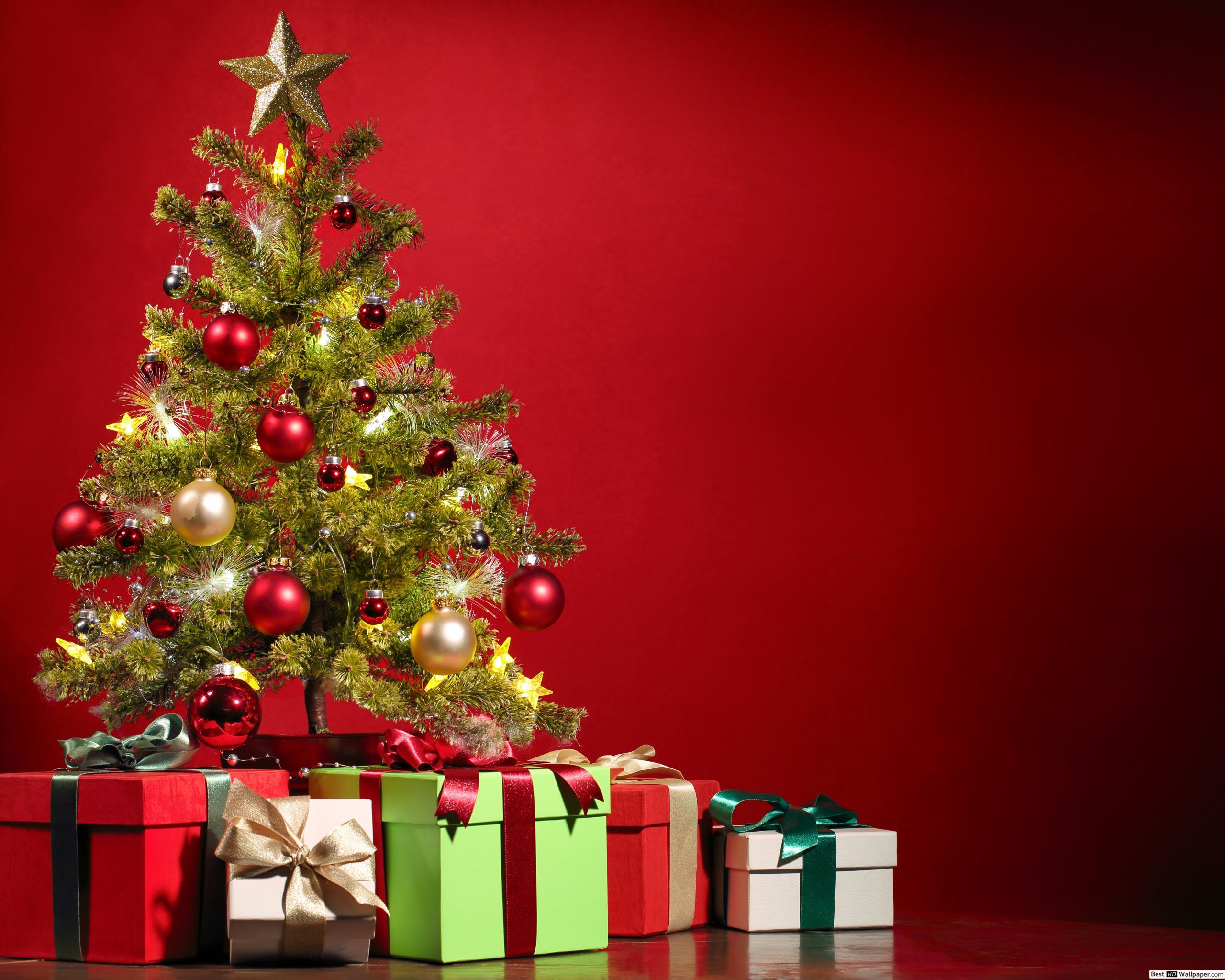 Christmas pine and gift boxes HD wallpaper download