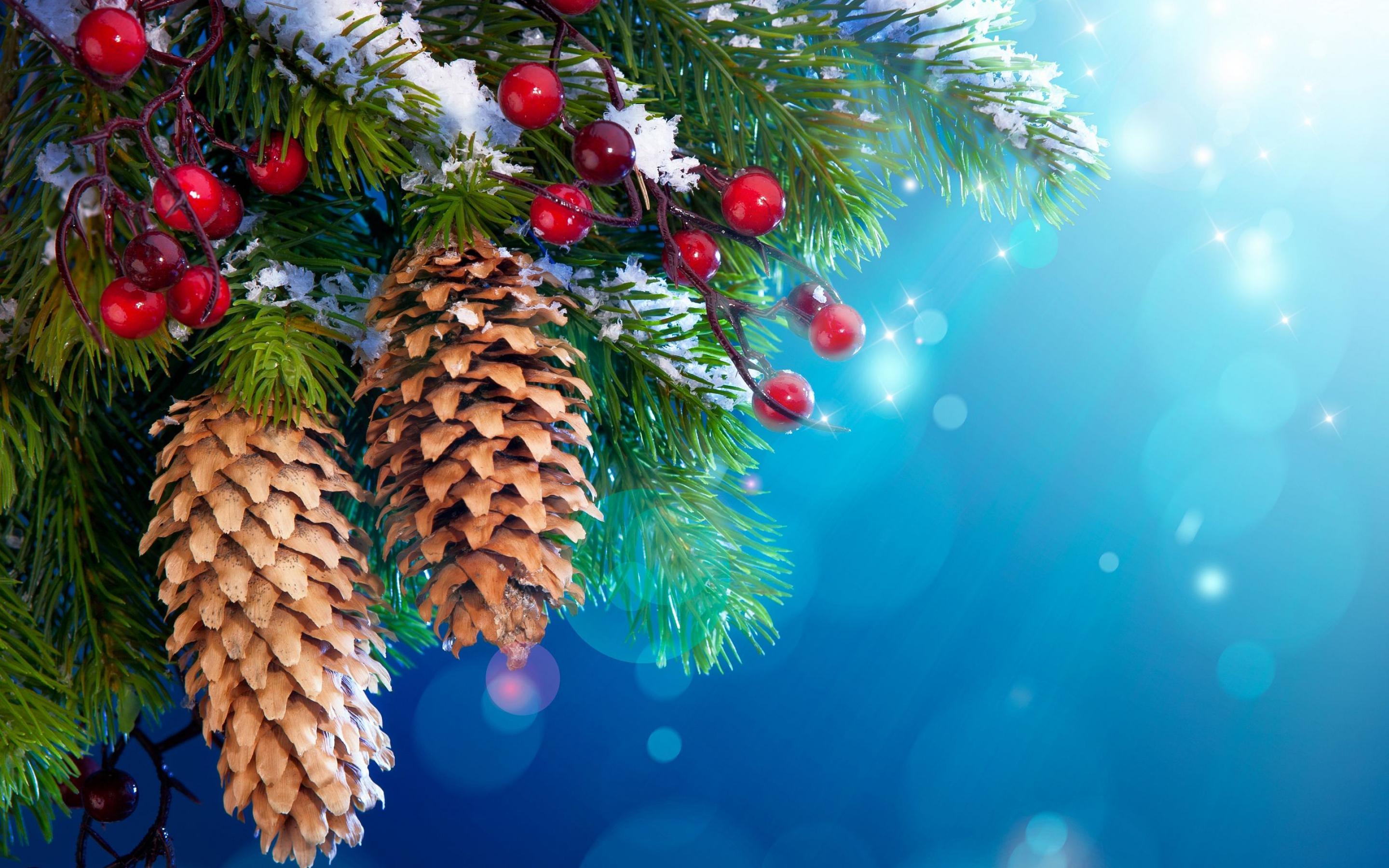 Beautiful Christmas Tree Wallpaper 22862