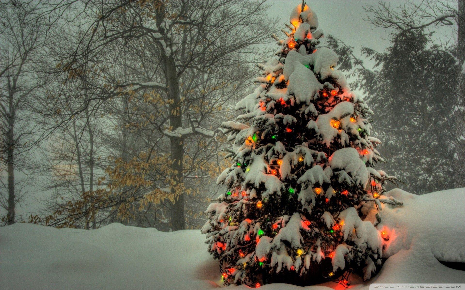 HD Christmas Tree Wallpaper for Windows 8