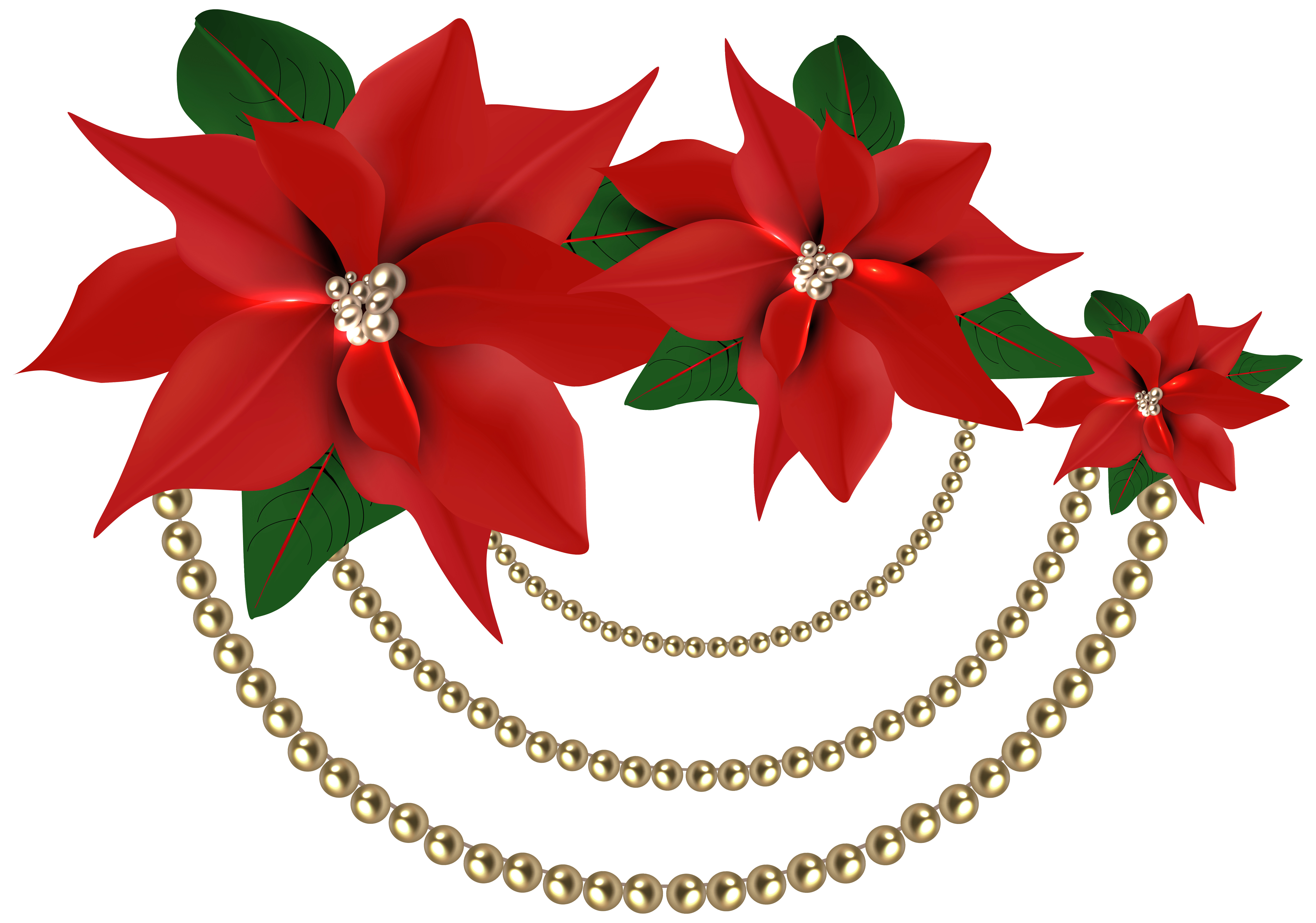Decorative Christmas Poinsettias with Pearls PNG Clipart Image