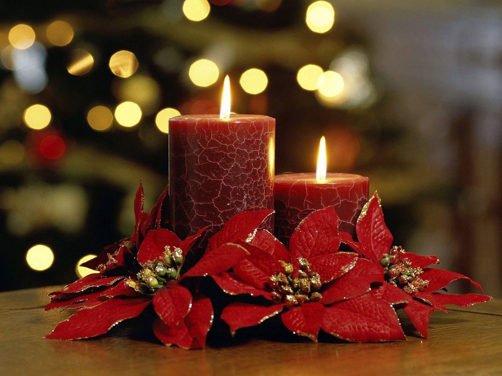 Christmas Candles And Poinsettias HD Christmas Candles