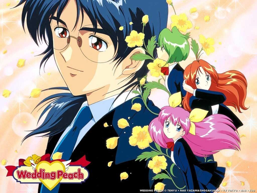 Angel Daisy Wedding Peach 8999784 1024. Magical