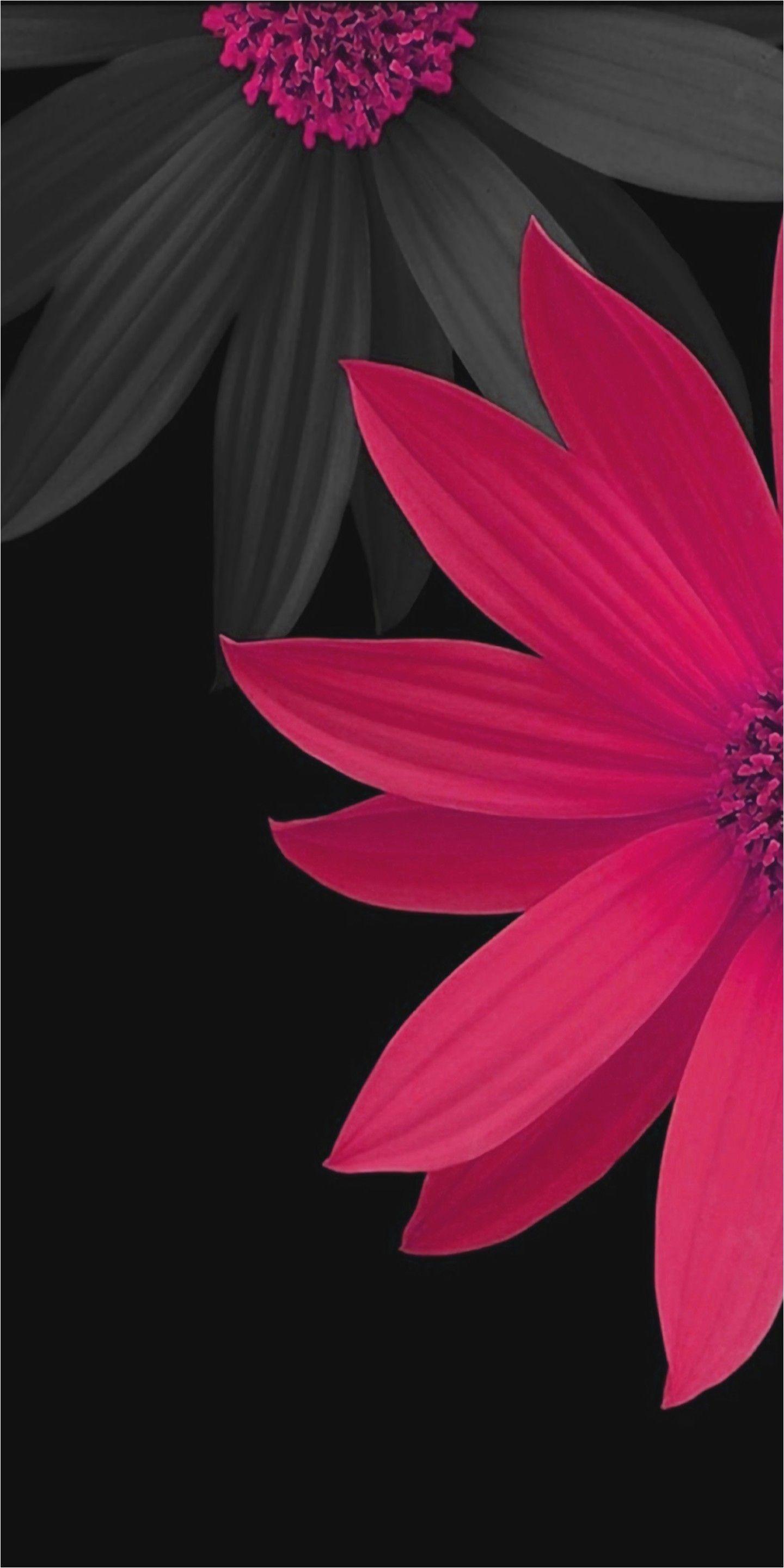 Zedge Wallpapers For Android Free at johnbwilliamso blog