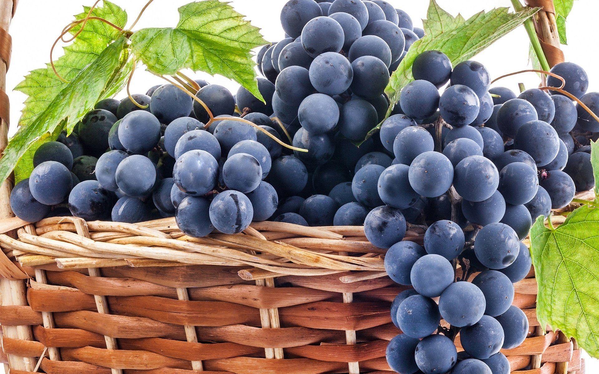 Grapes HD Wallpaper