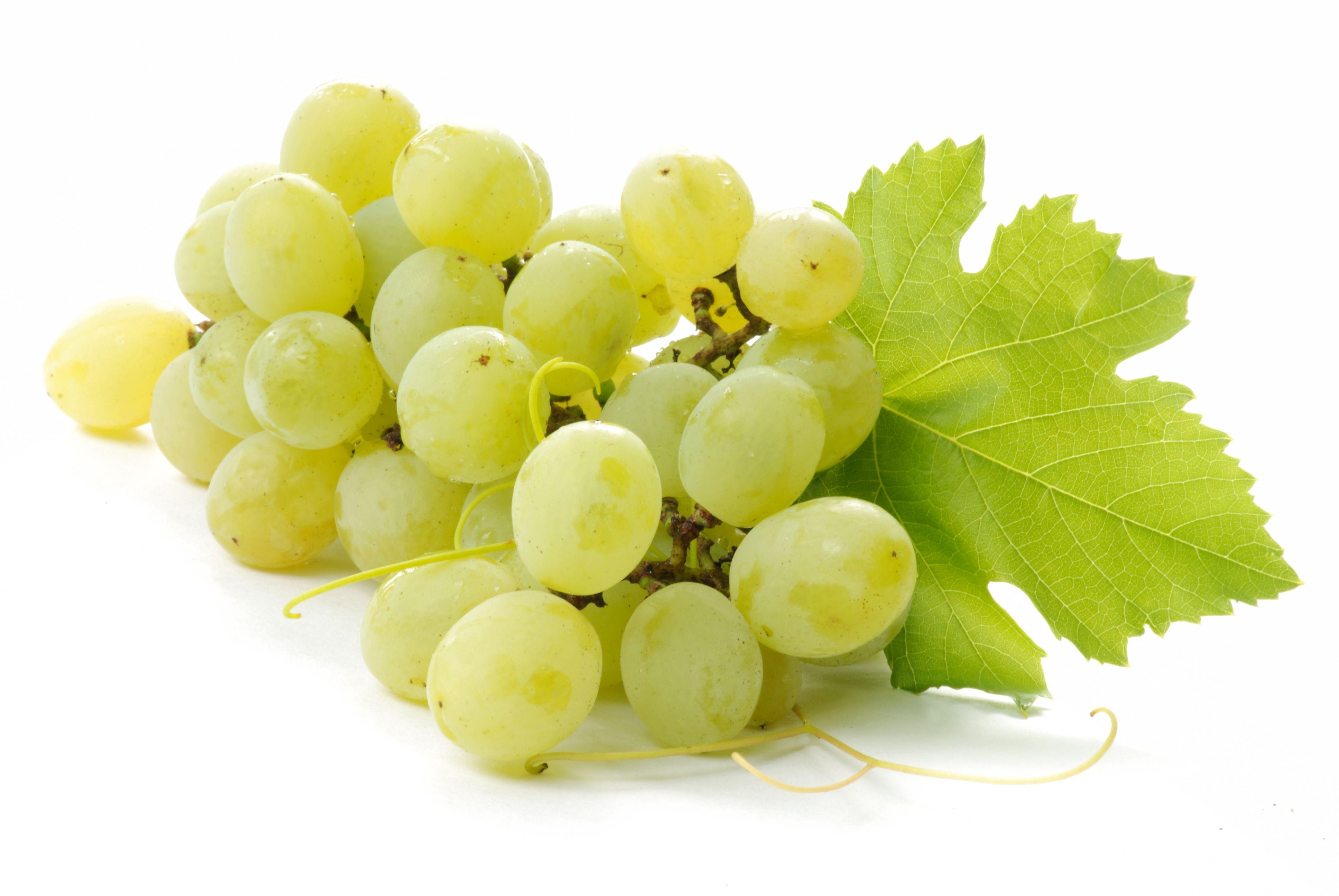 Grapes Image, Grapes Image Galleries,. Ie Wallpaper Graphics