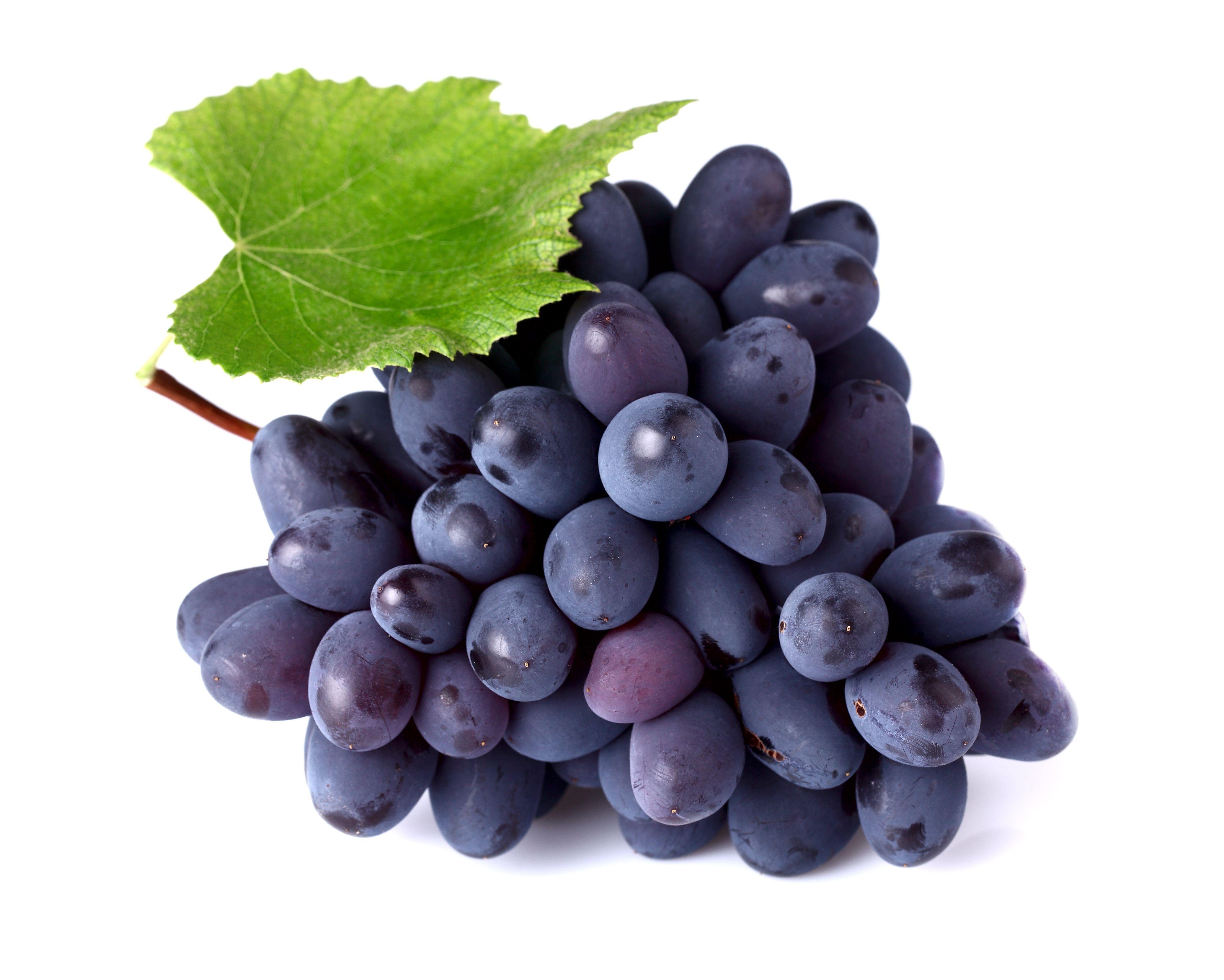 V.775: Grapes Image, HD Image of Grapes, Ultra HD 4K Grapes Wallpaper