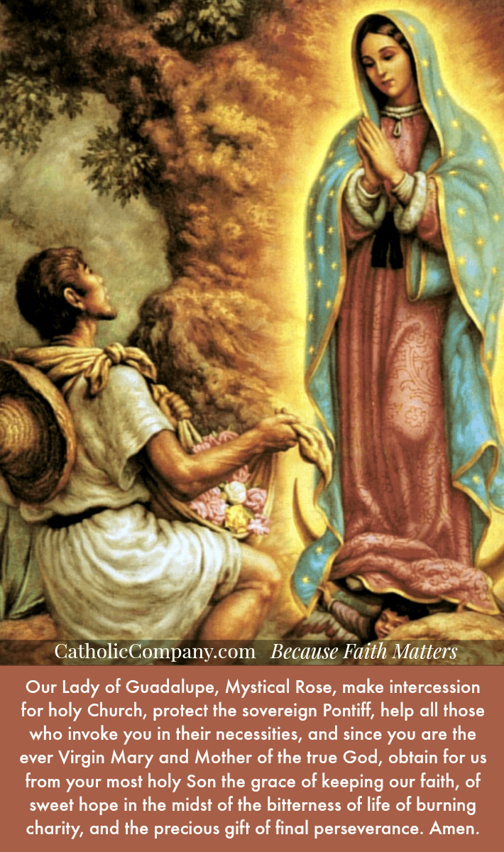 Our Lady of Guadalupe Feast Day: Facts & Celebration Ideas