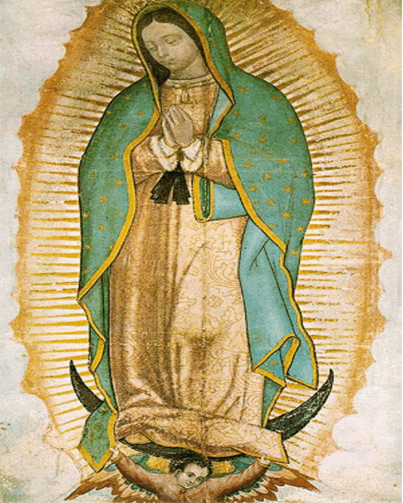 La Virgen De Guadalupe Wallpaper to