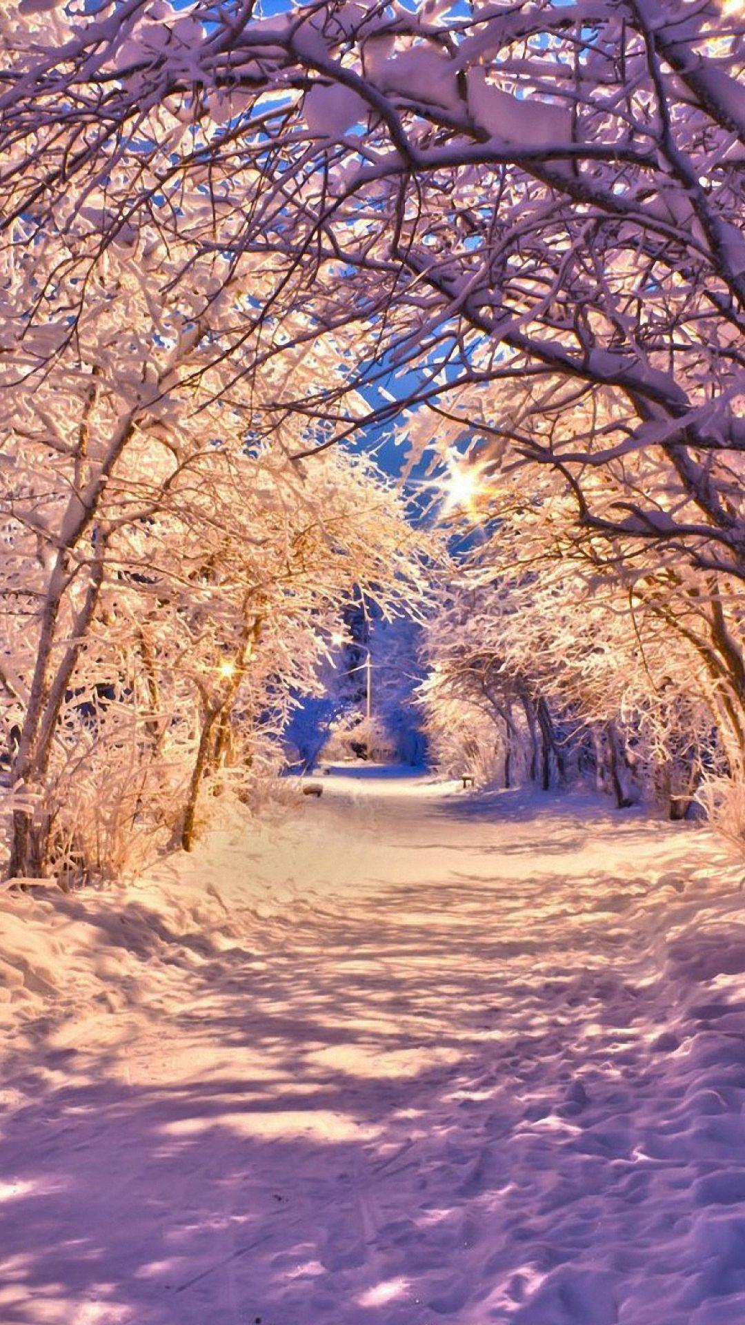 winter snow tree road iphone 6 wallpaper HD. iPhone 6 Wallpaper