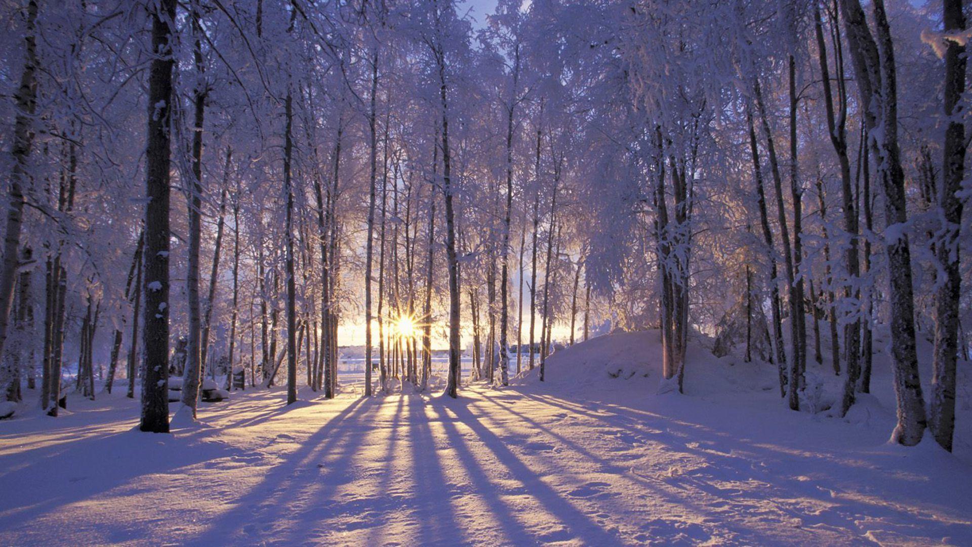 Winter Wallpaper. New Year Time