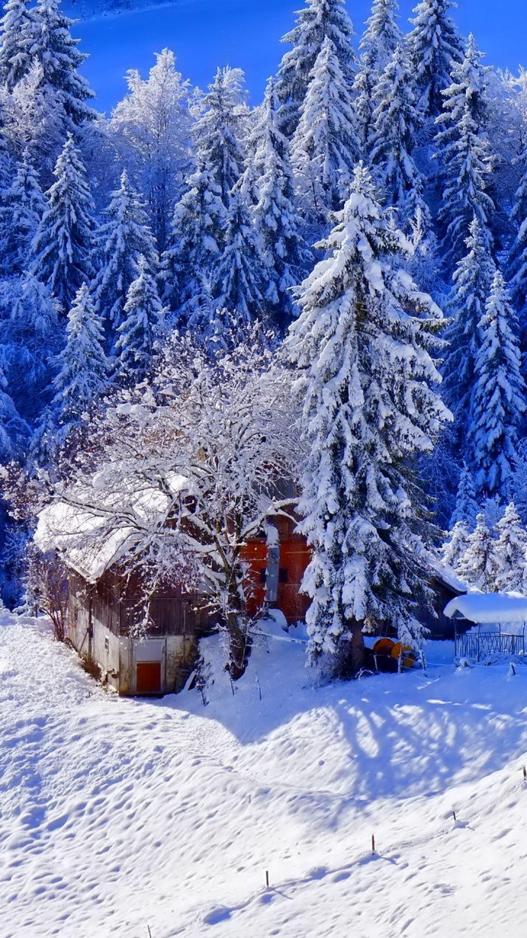 HD Background Winter Snow House Ice Trees Hill Wallpaper