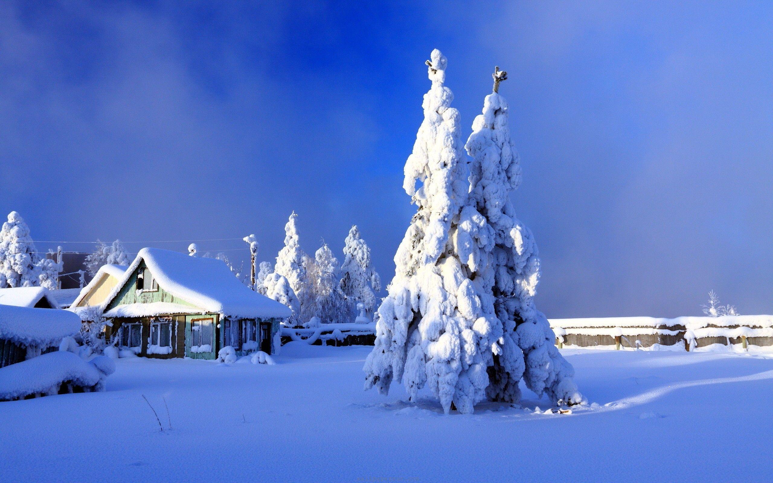 Amazing Snowfall 4K Ultra HD Wallpaper Background Image