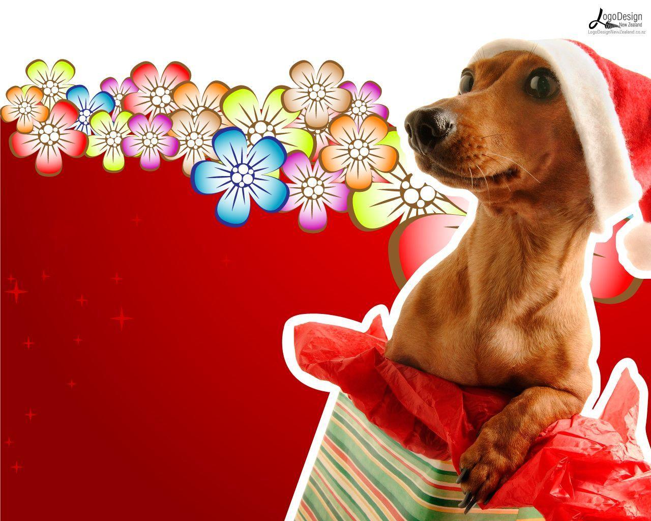 Dog Christmas Desktop Wallpaper Dog Wallpaper Christian