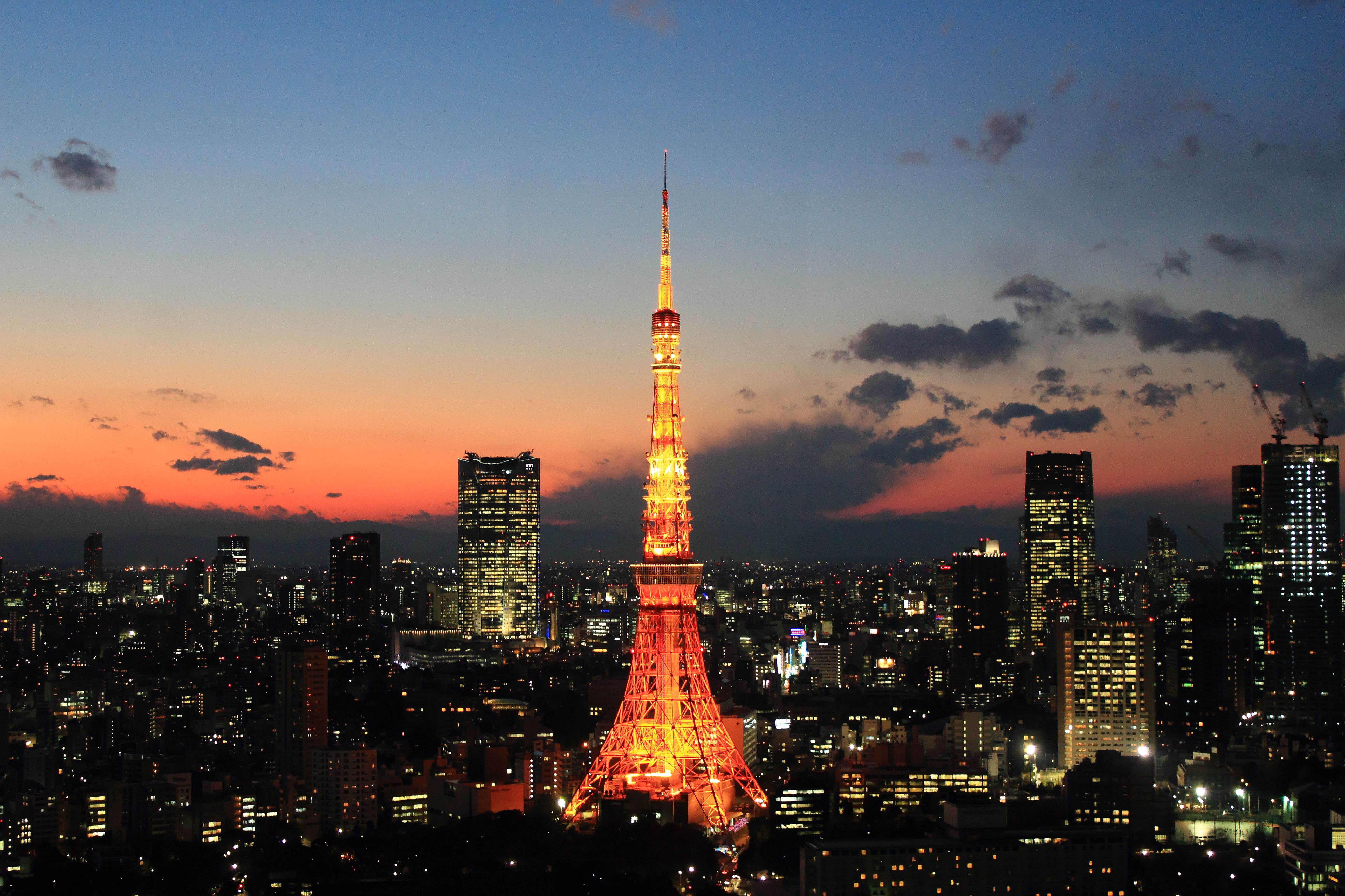 6% OFF Tokyo Tower Ticket