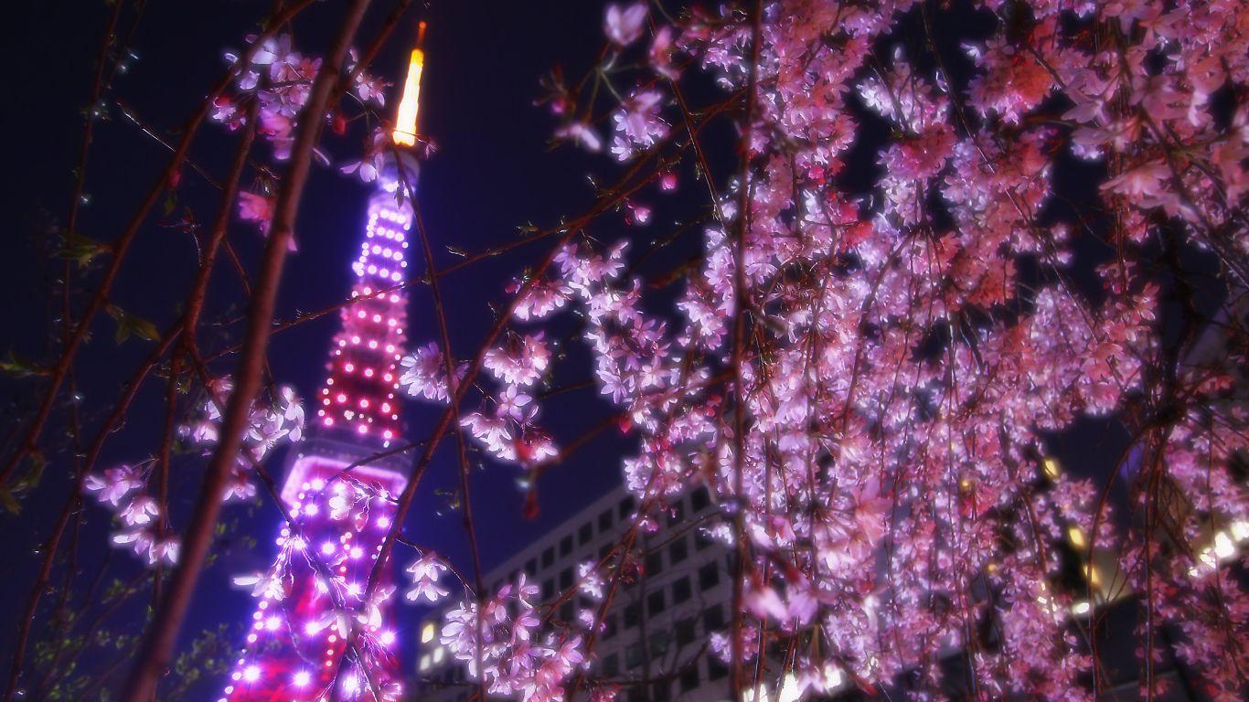 Tokyo Tower Wallpaper HD