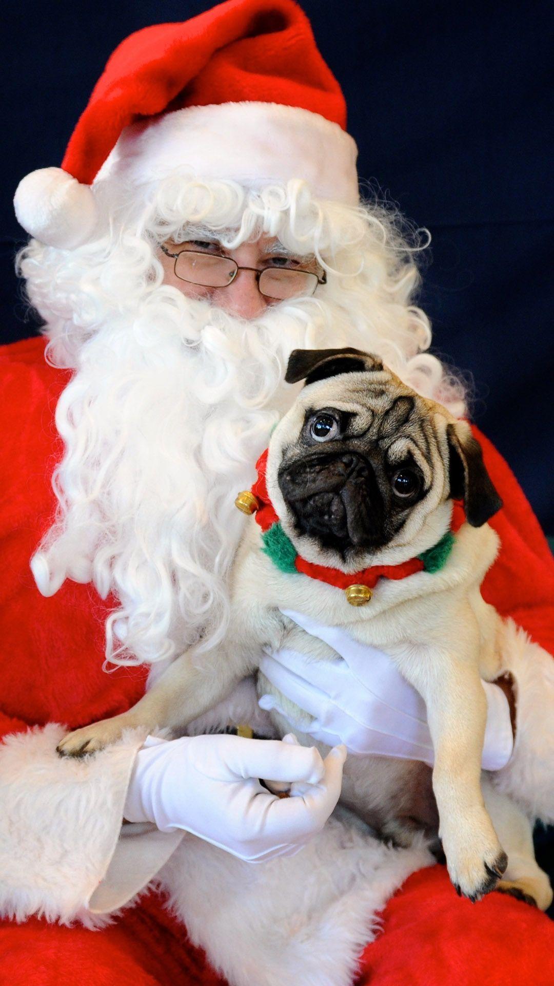 wallpaperiphone. Wallpaper 〠