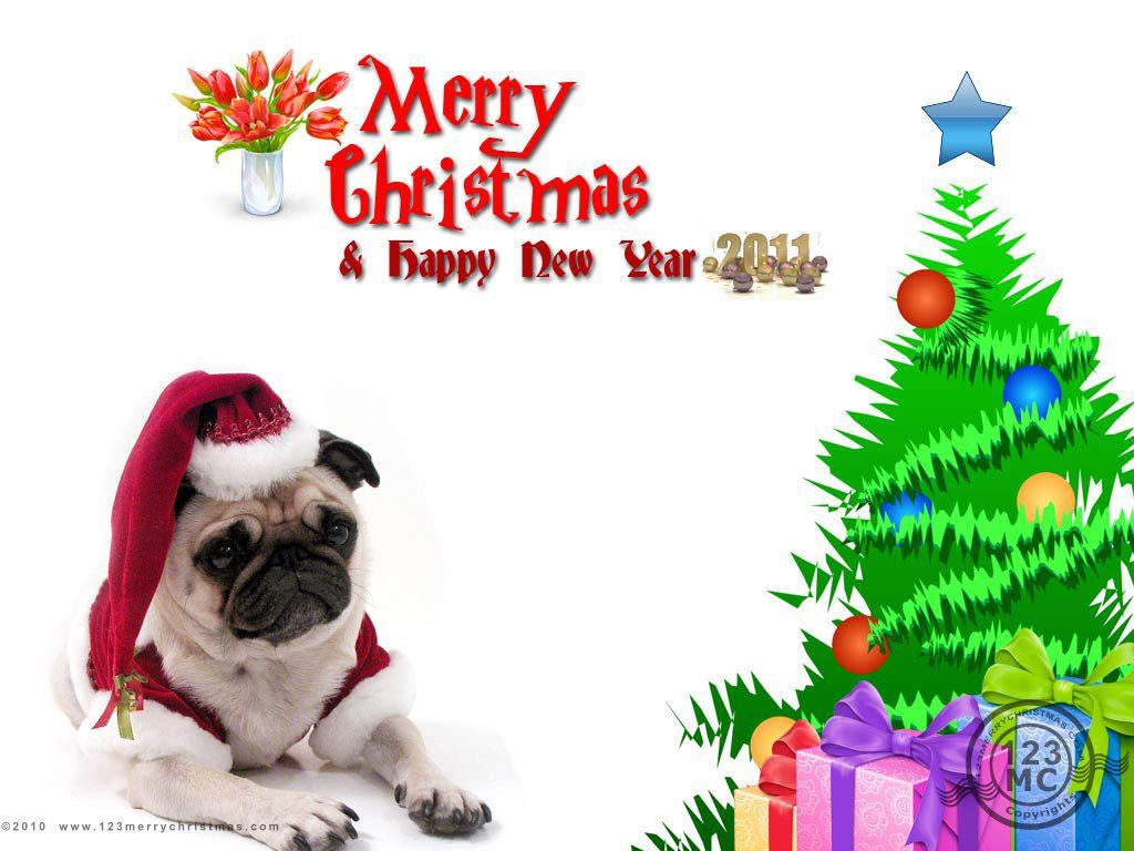 Merry Christmas with Pug