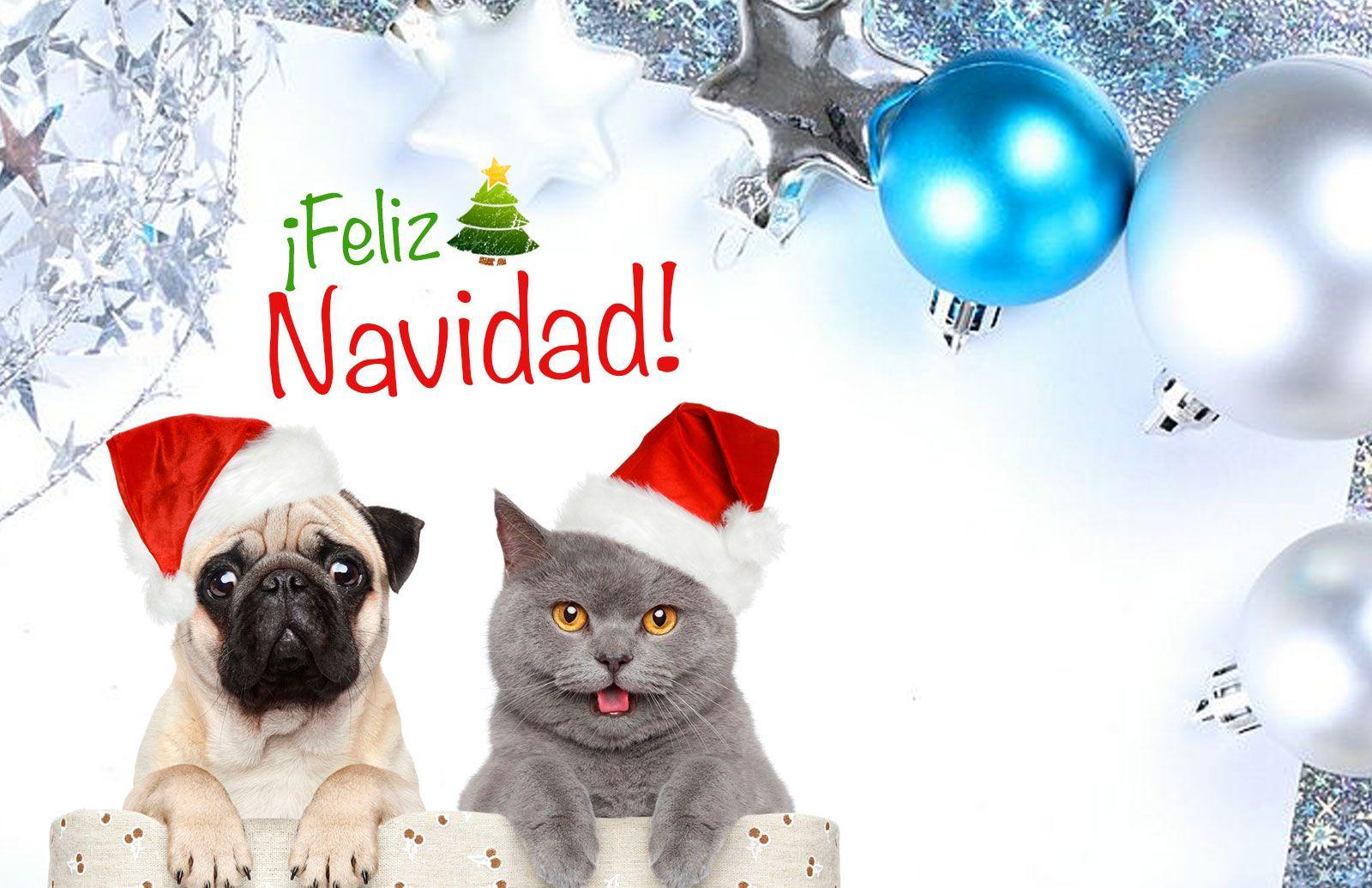 Tarjetas De Cumpleaños Y Navidad Para Enviar Por Correo 4 HD