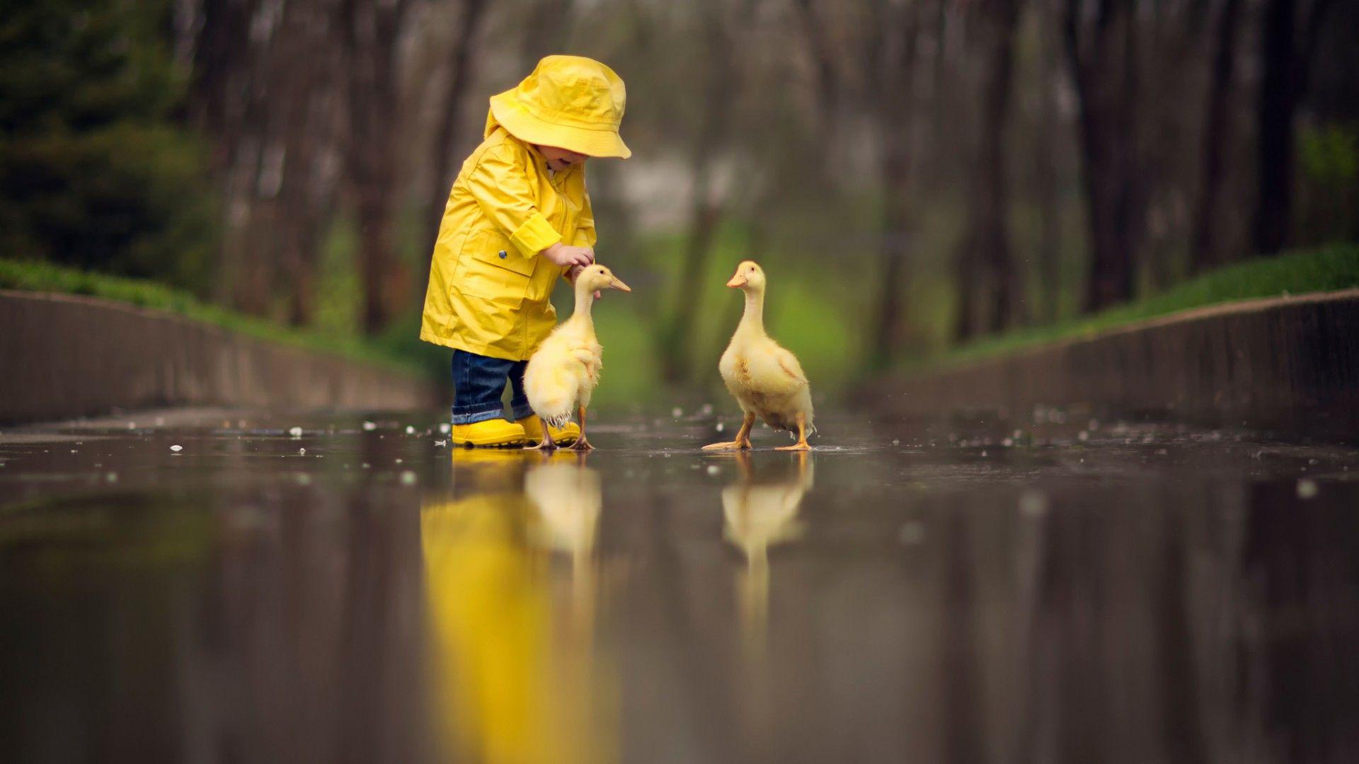 Small child with ducks [1920x1080]