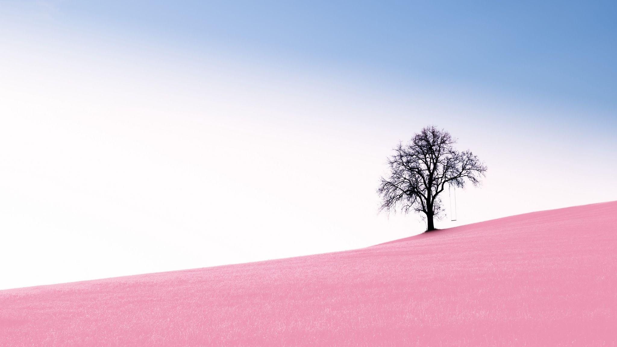 Download wallpaper 2048x1152 tree, swing, slope, photohop ultrawide