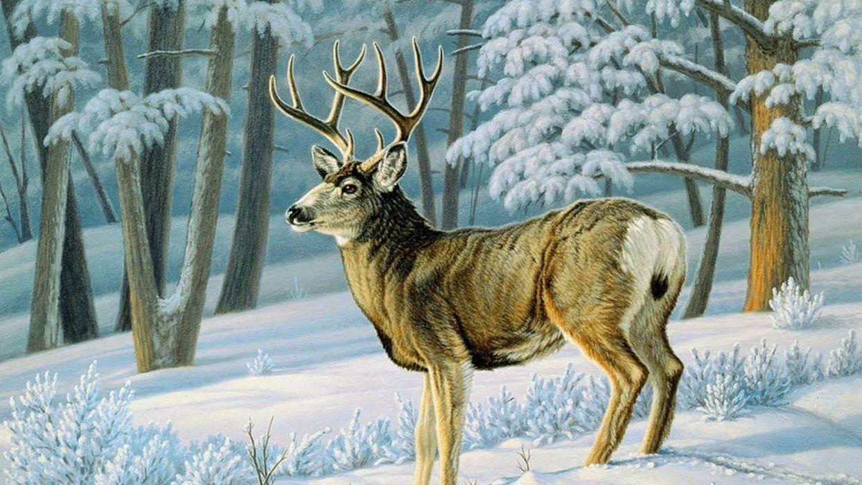 Art oil painting drawing Winter Forest Cute Deer Slope wallpaper