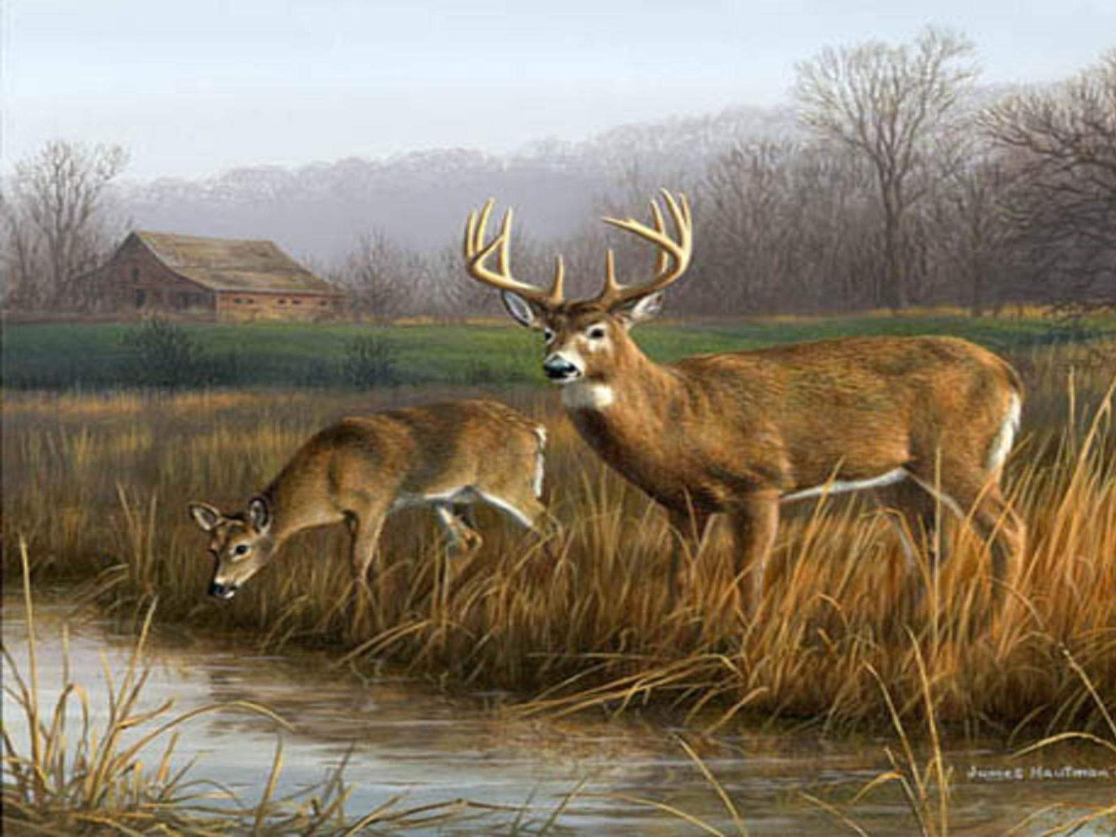 Free Deer Wallpaper for PC. Deer painting, Hunting art, Hunting wallpaper