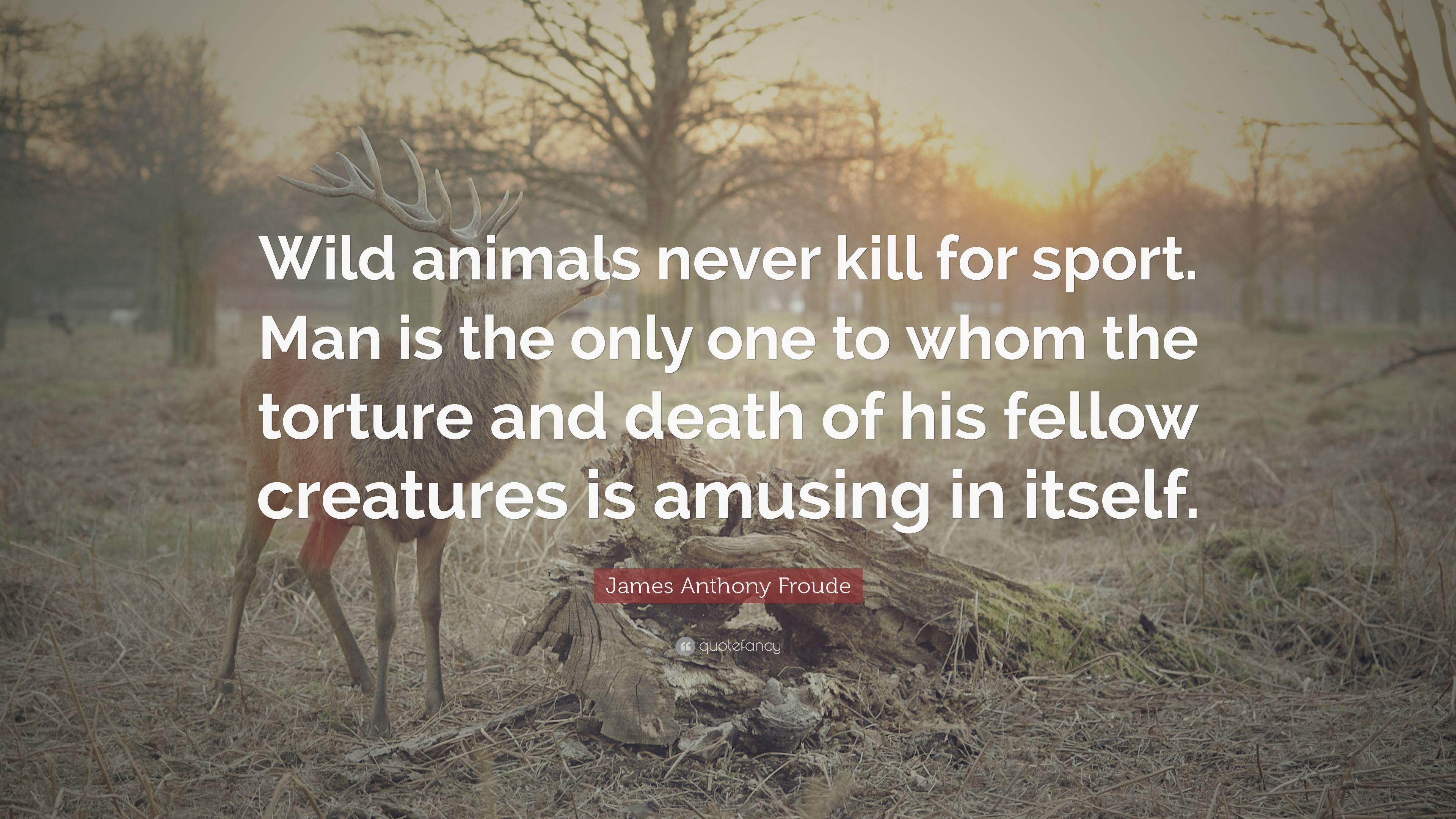 James Anthony Froude Quote: “Wild animals never kill for sport. Man