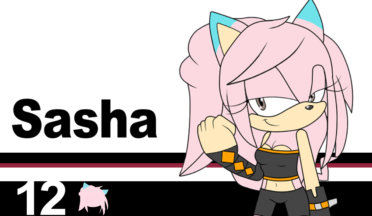Sasha The Hedgehog Smash Bros. Ultimate Wallpaper