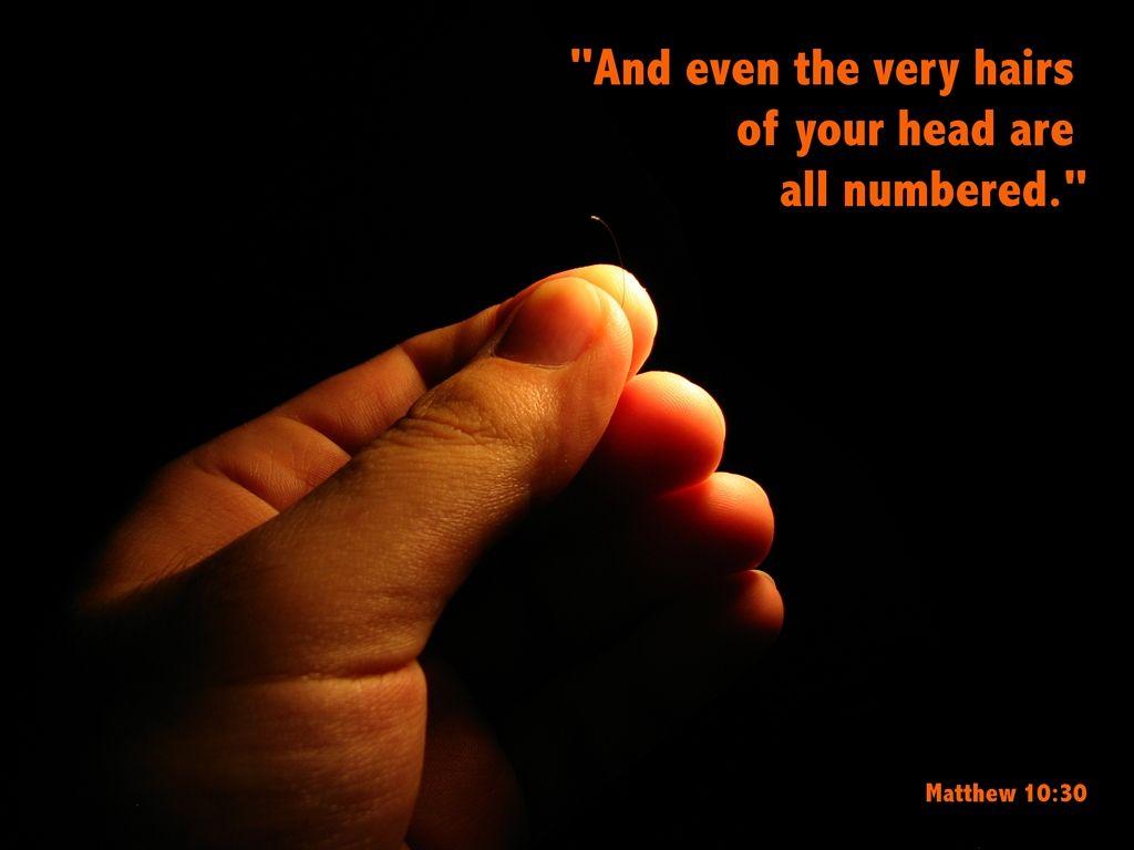 Inspirational Quote Wallpaper