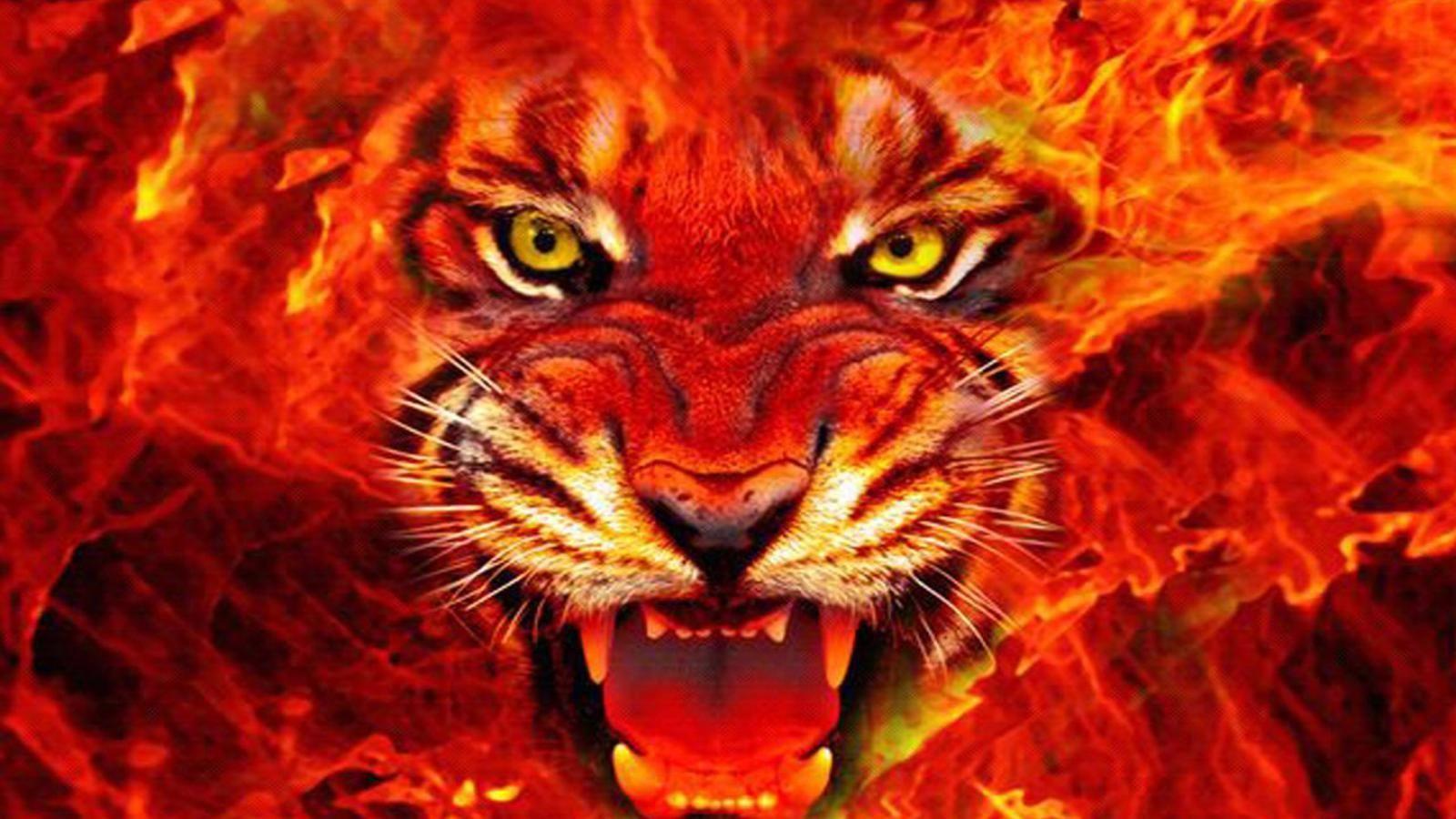 Ferocious tiger wallpaper. Fire Flame Collection in 2019